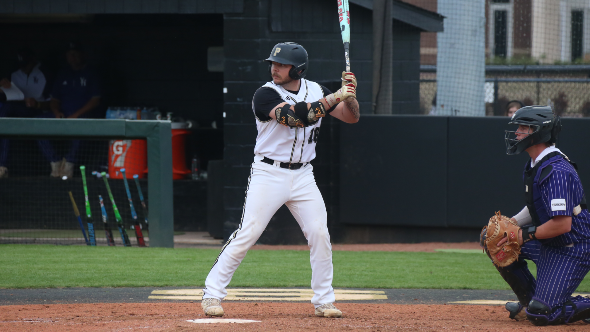 Mason Mozeley 032026