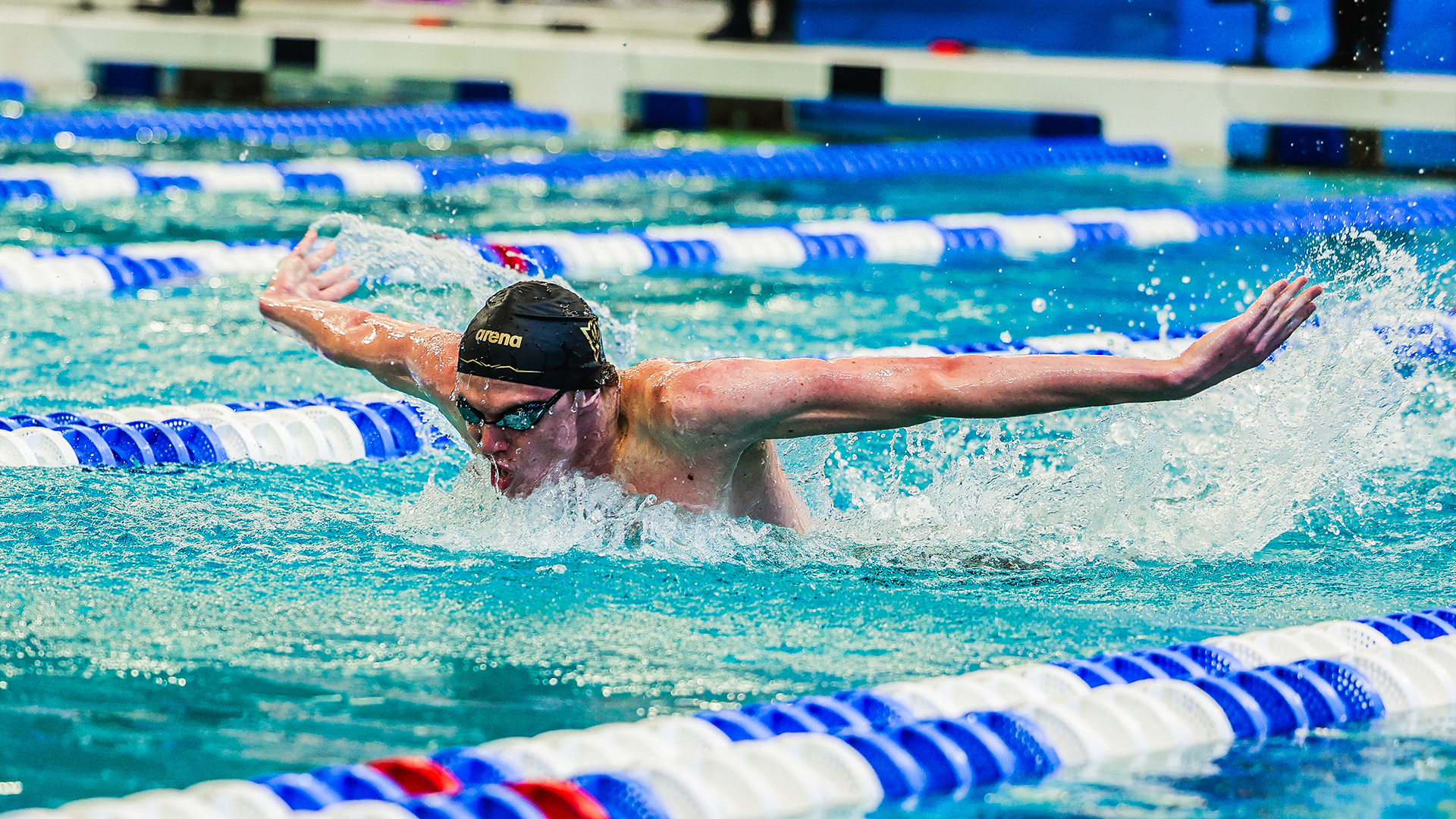 carrico competes in the 400 IM at the NCAA Championships