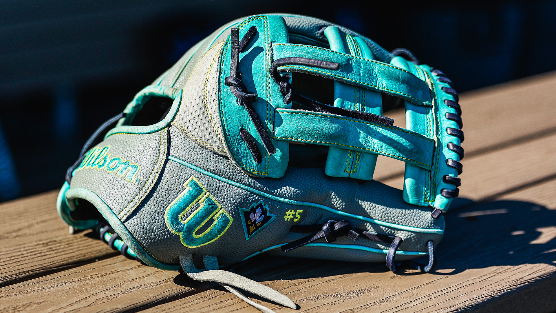 A glove