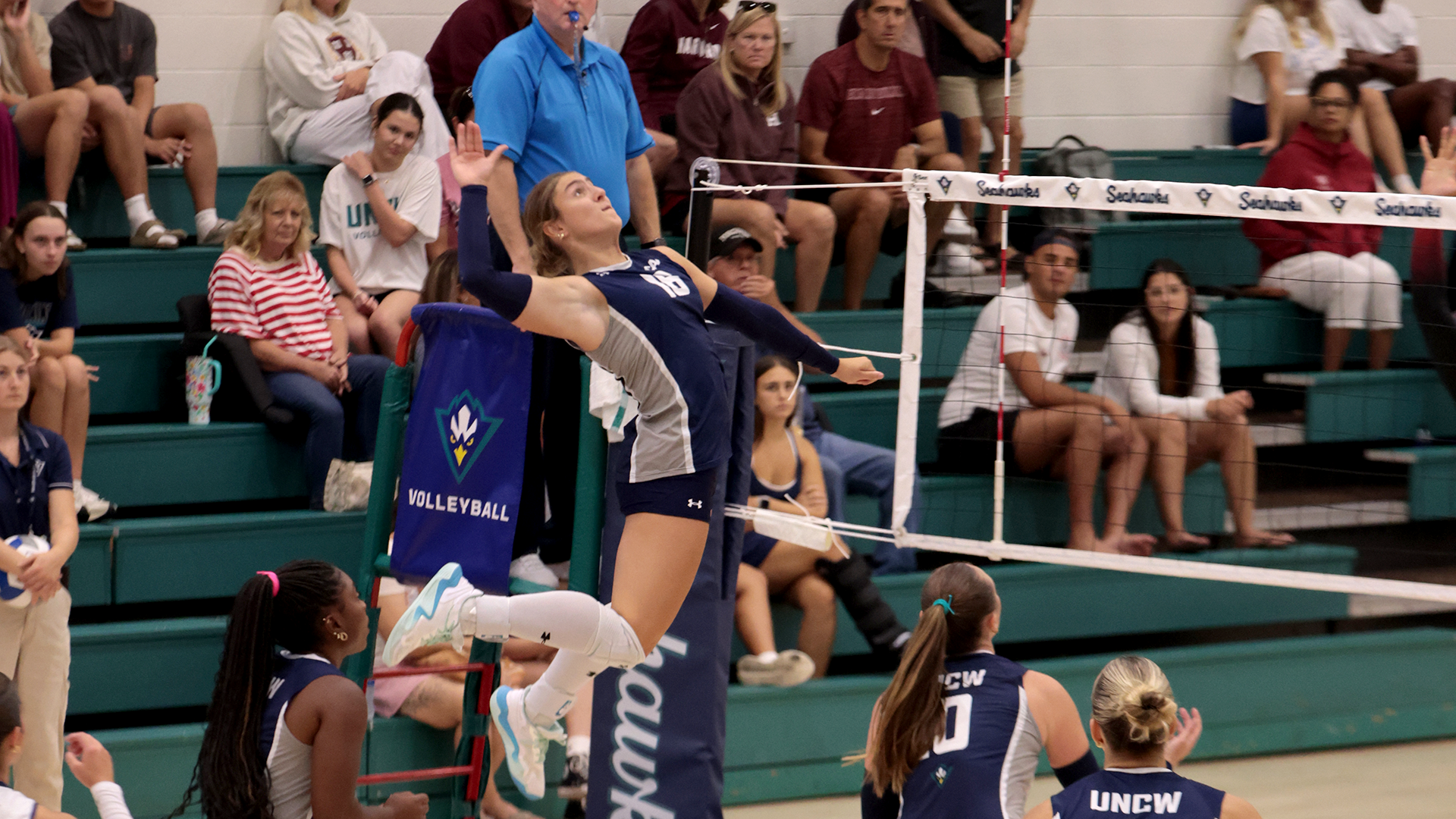 Murphy swings at the net