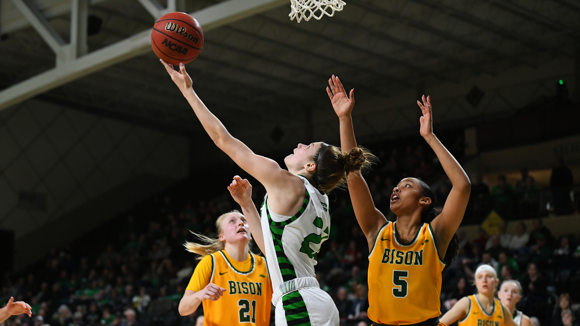 Megan Zander Women's Basketball University of North Dakota Athletics