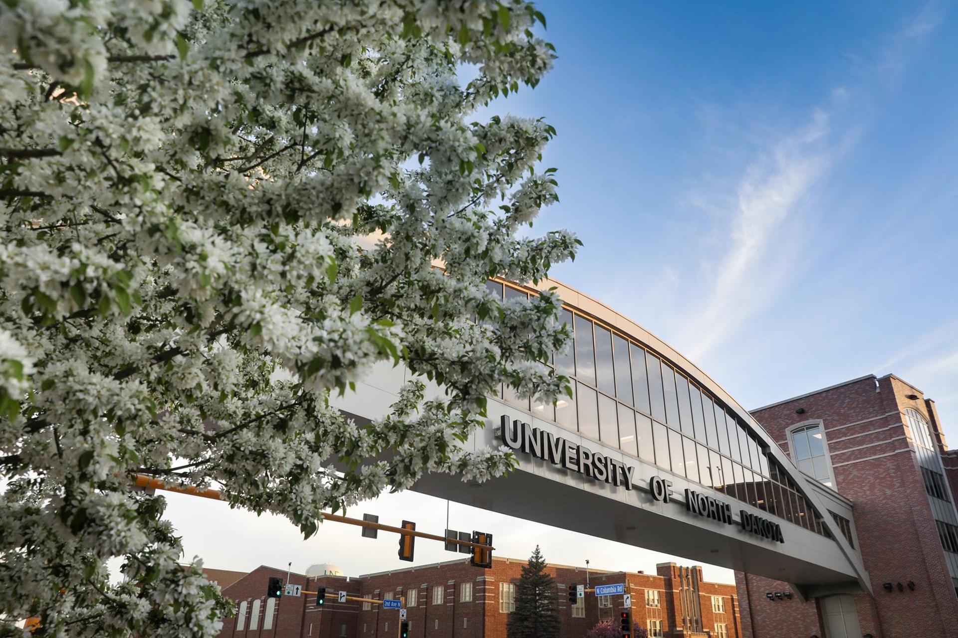 Campus_Bridge_Spring