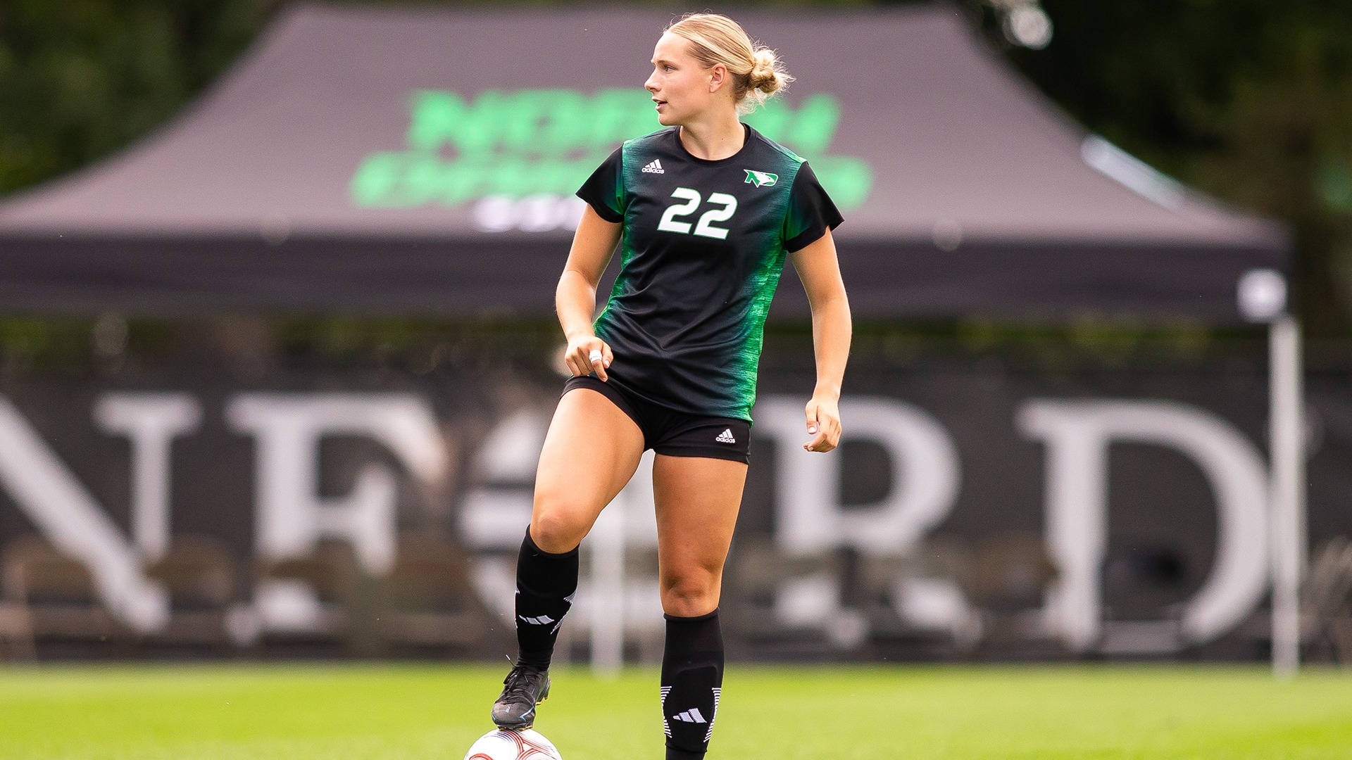 Addison Stadden