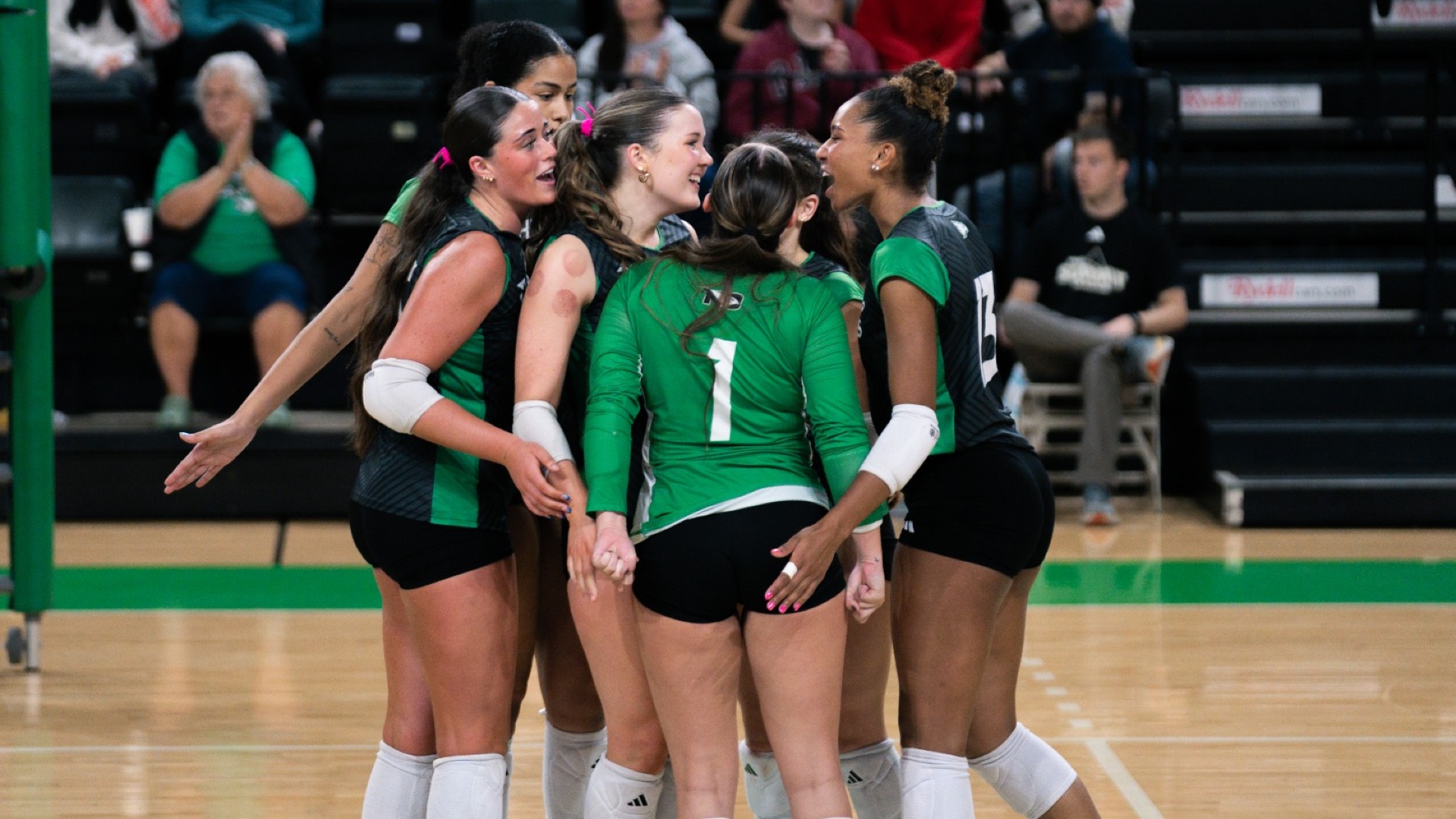 Volleyball group celebration
