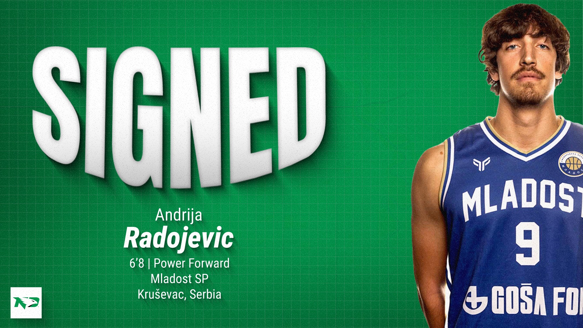 Andrija Radojevic