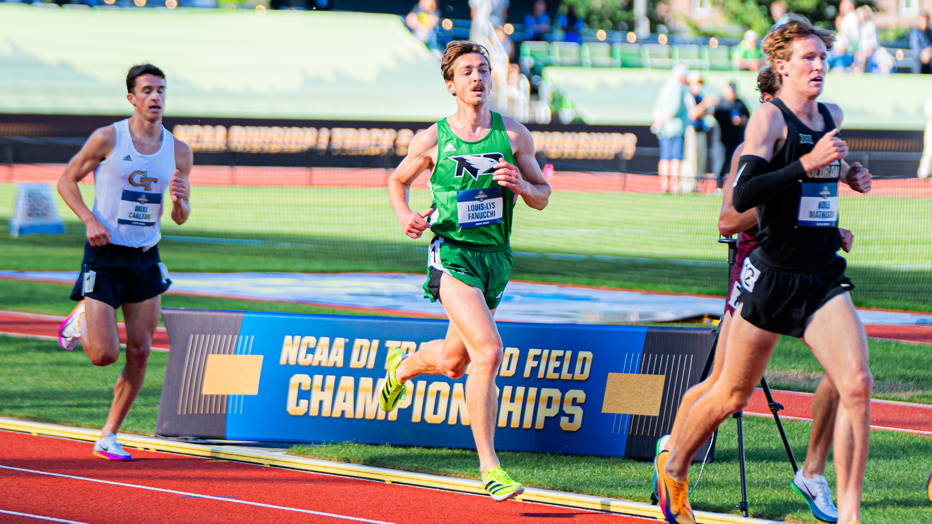 Fanucchi at NCAA Championships