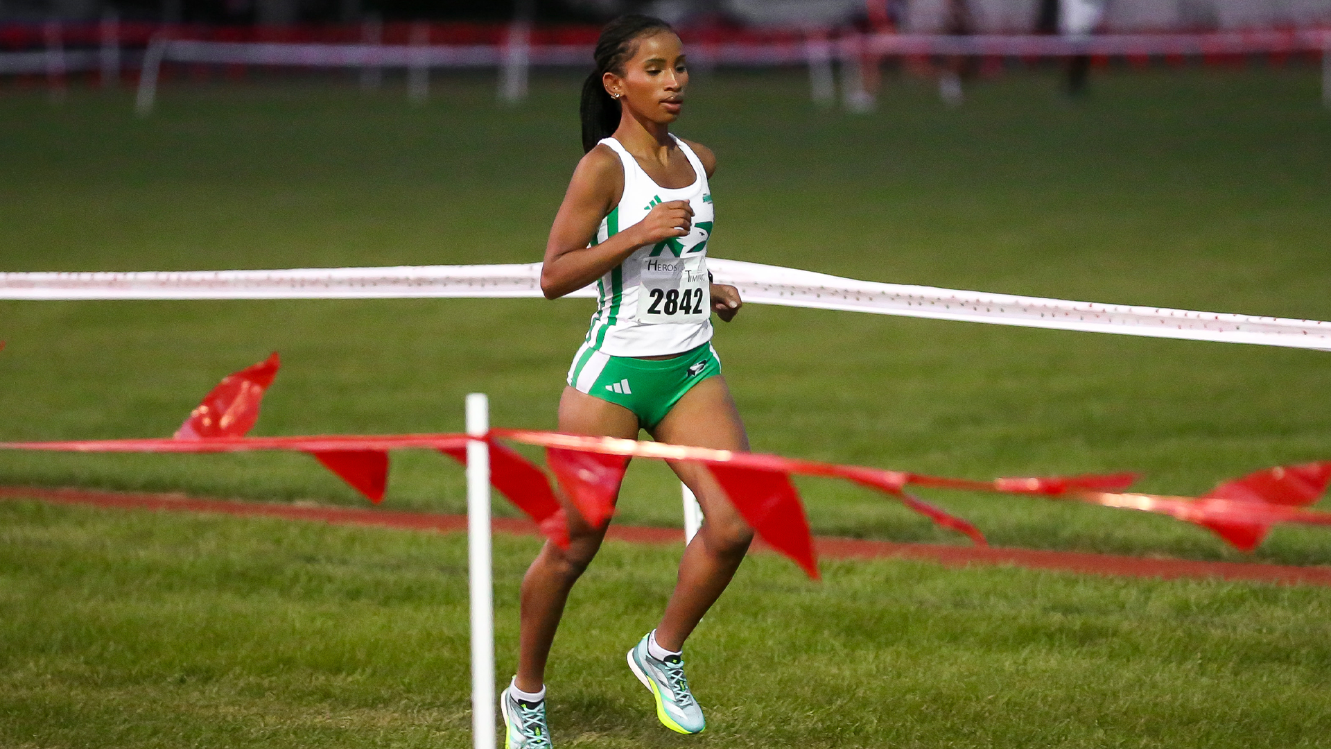 Johnson at Dragon Twilight