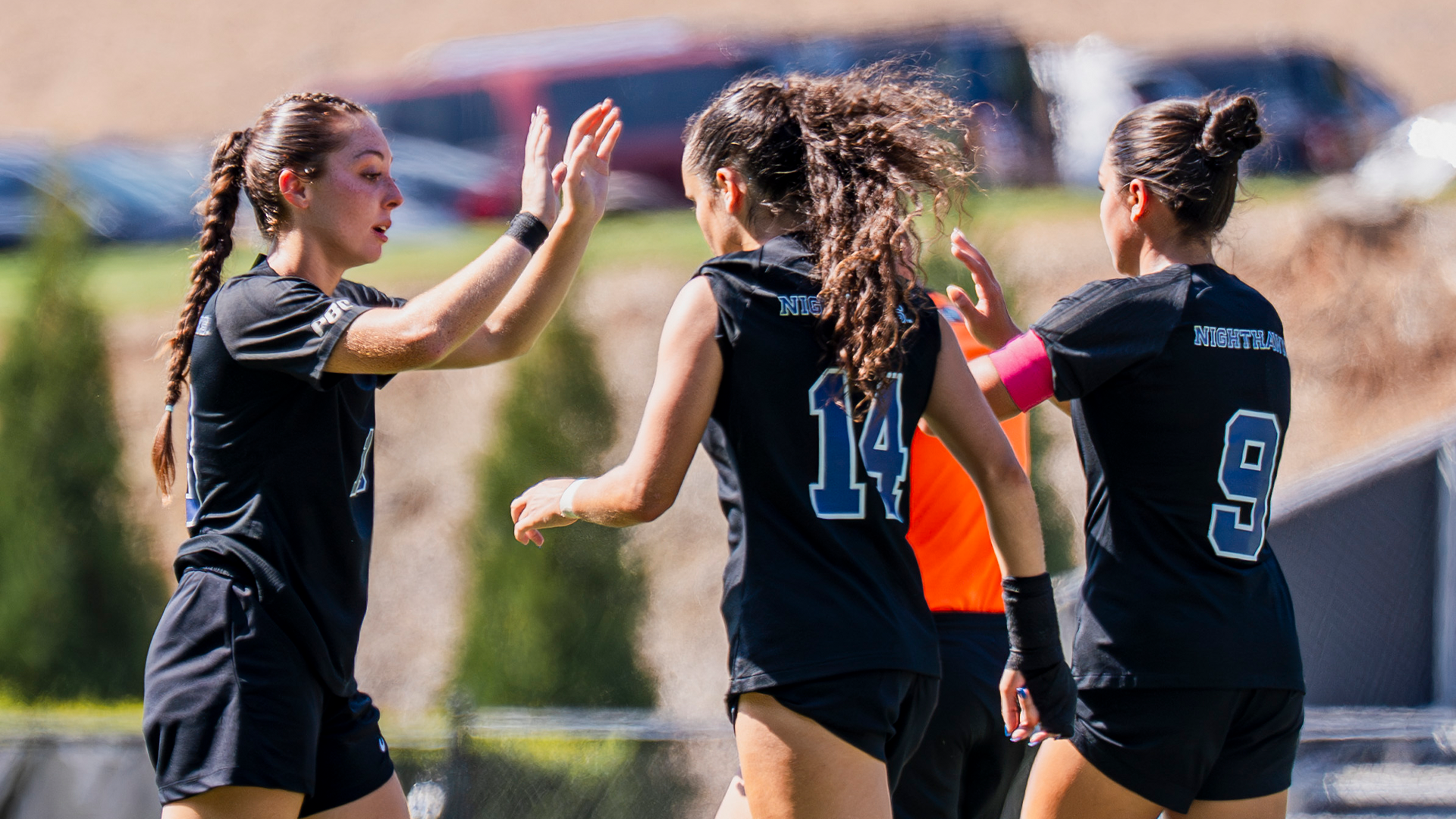 WSOC vs. Lees-McRae