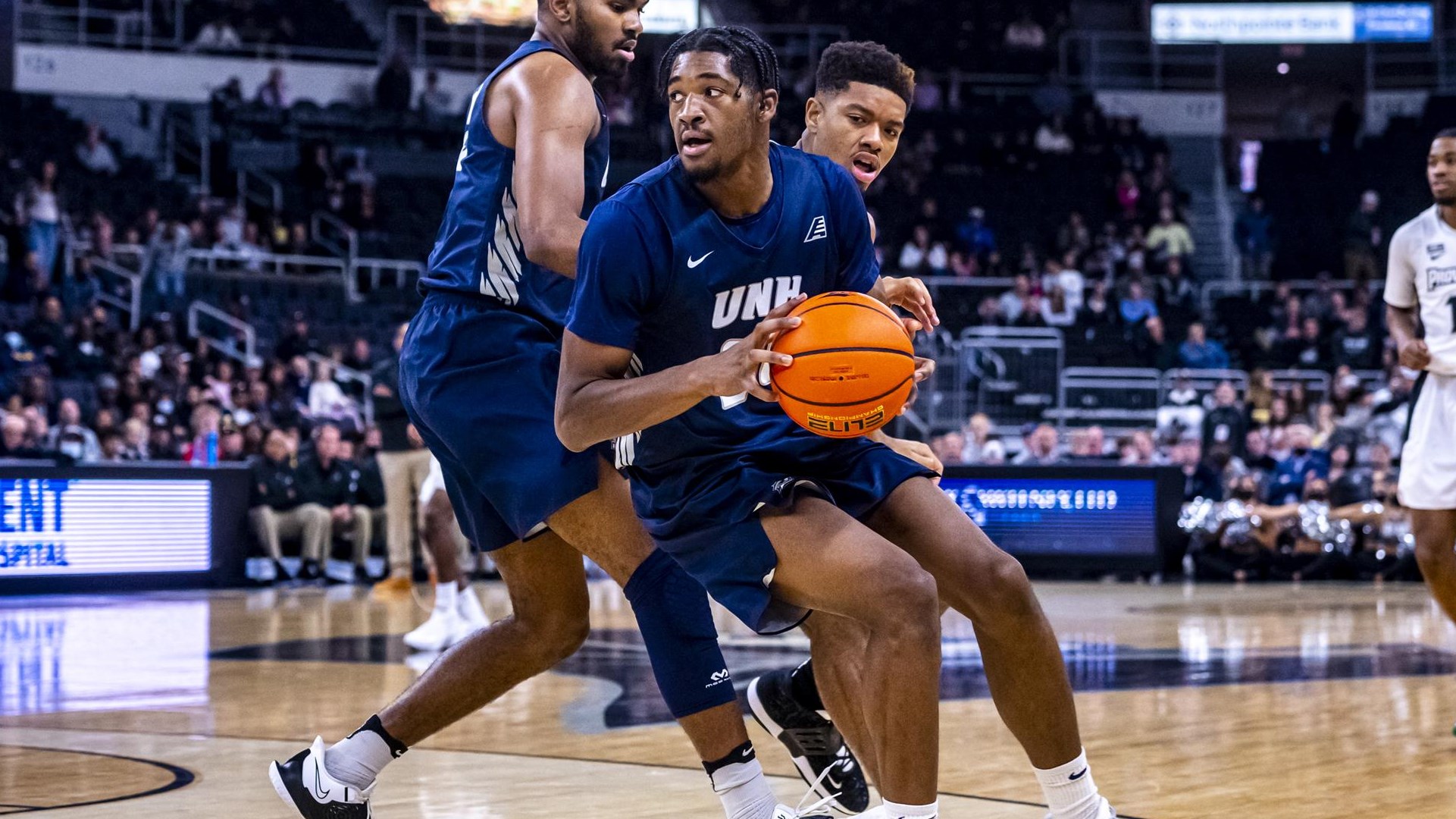 'Cats pick up big nonconference win vs. Quinnipiac, 8469 University