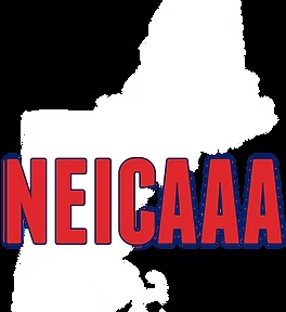 Opponent Logo