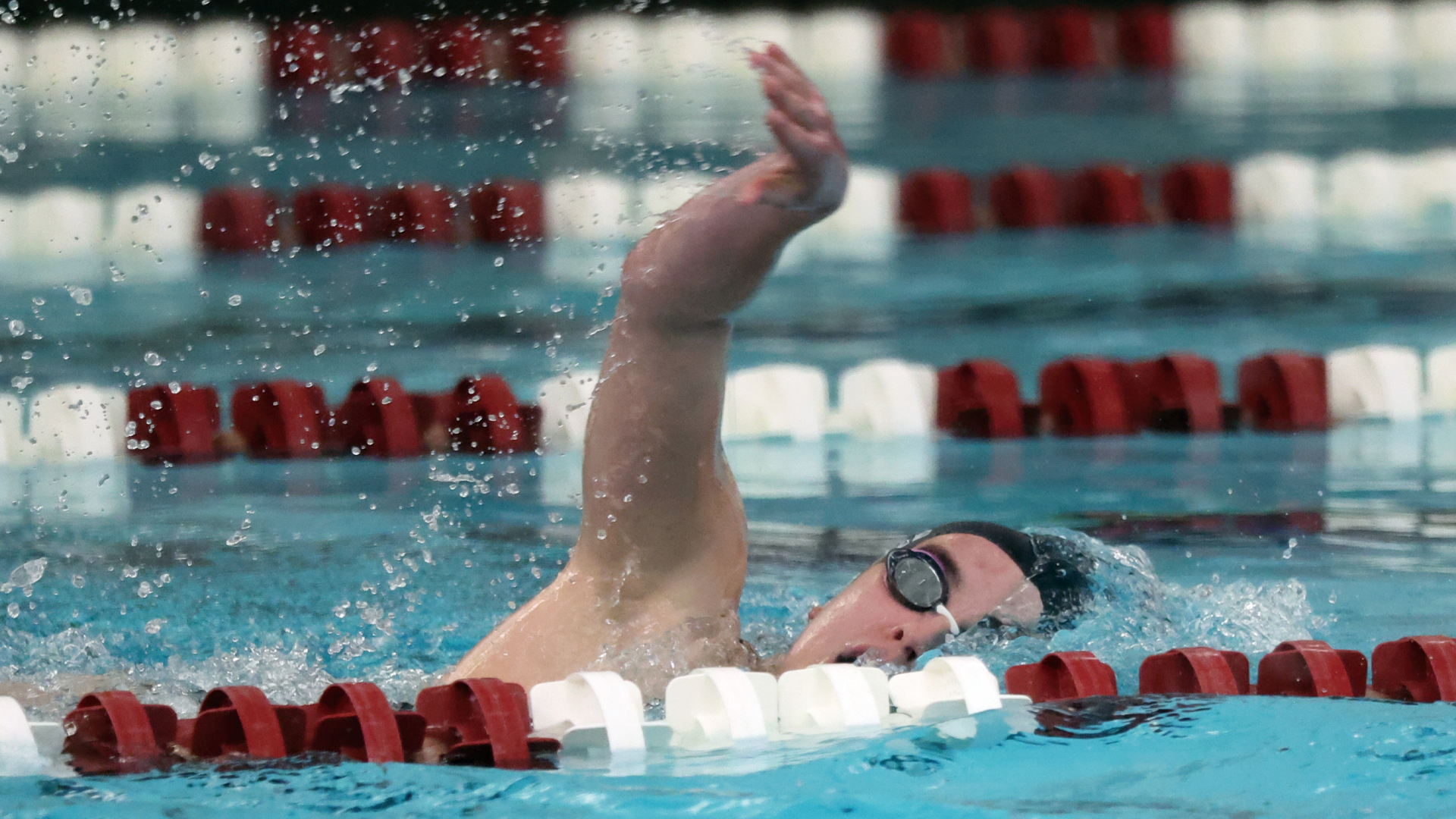 a women's swimmer swimming the front crawl