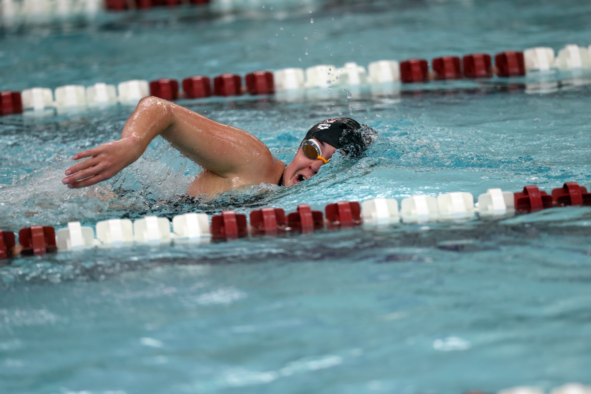 a women's swimmer performing the front crawl