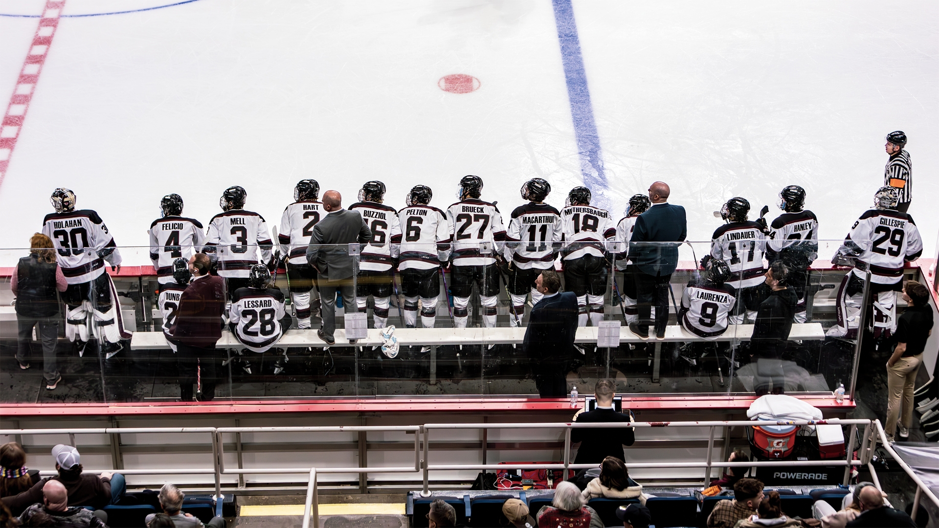 an ariel shot of a men's hockey team, looking down at its bench from the seating area