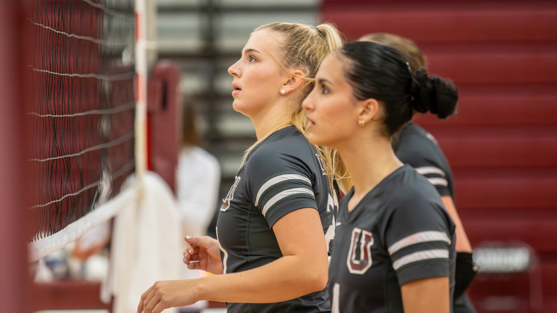two women's volleyball players looking through the net