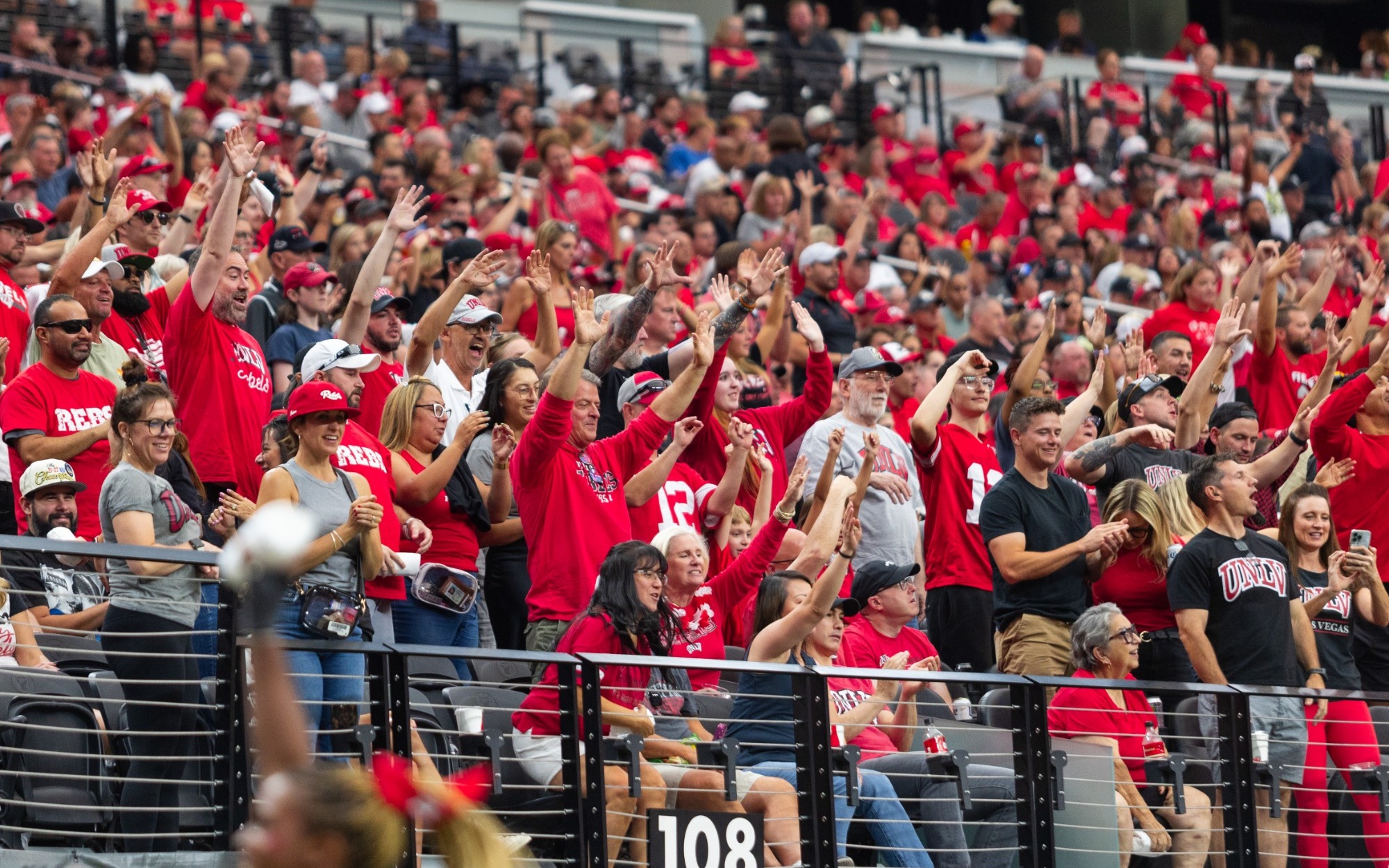 Crowd of Fans