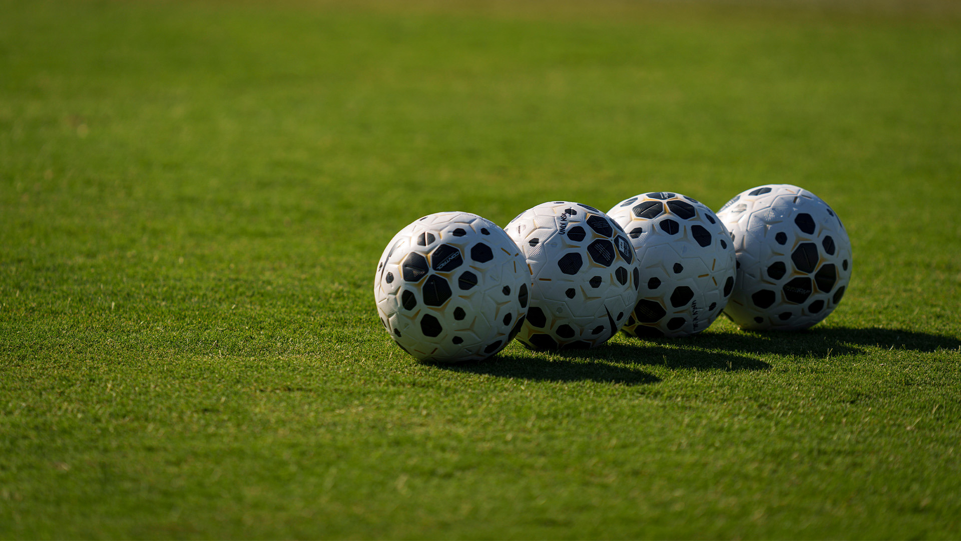 UNLV Soccer Balls