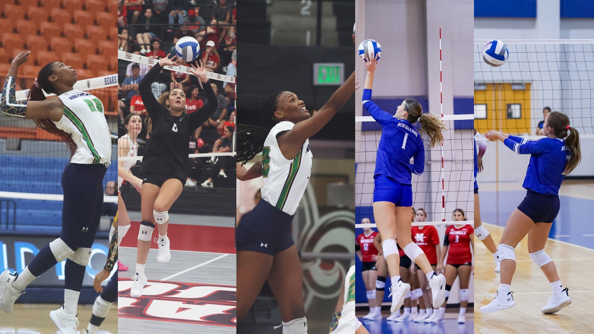 2025 Volleyball All-Academic