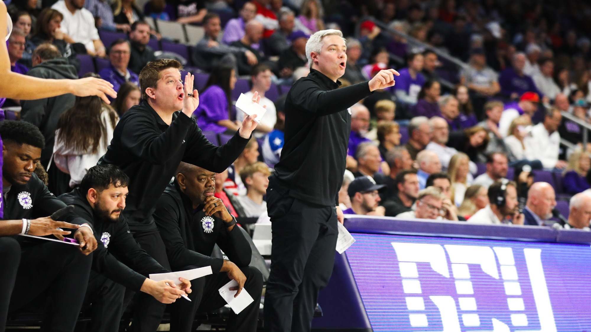 Zach Settembre Coaching for Tarleton State