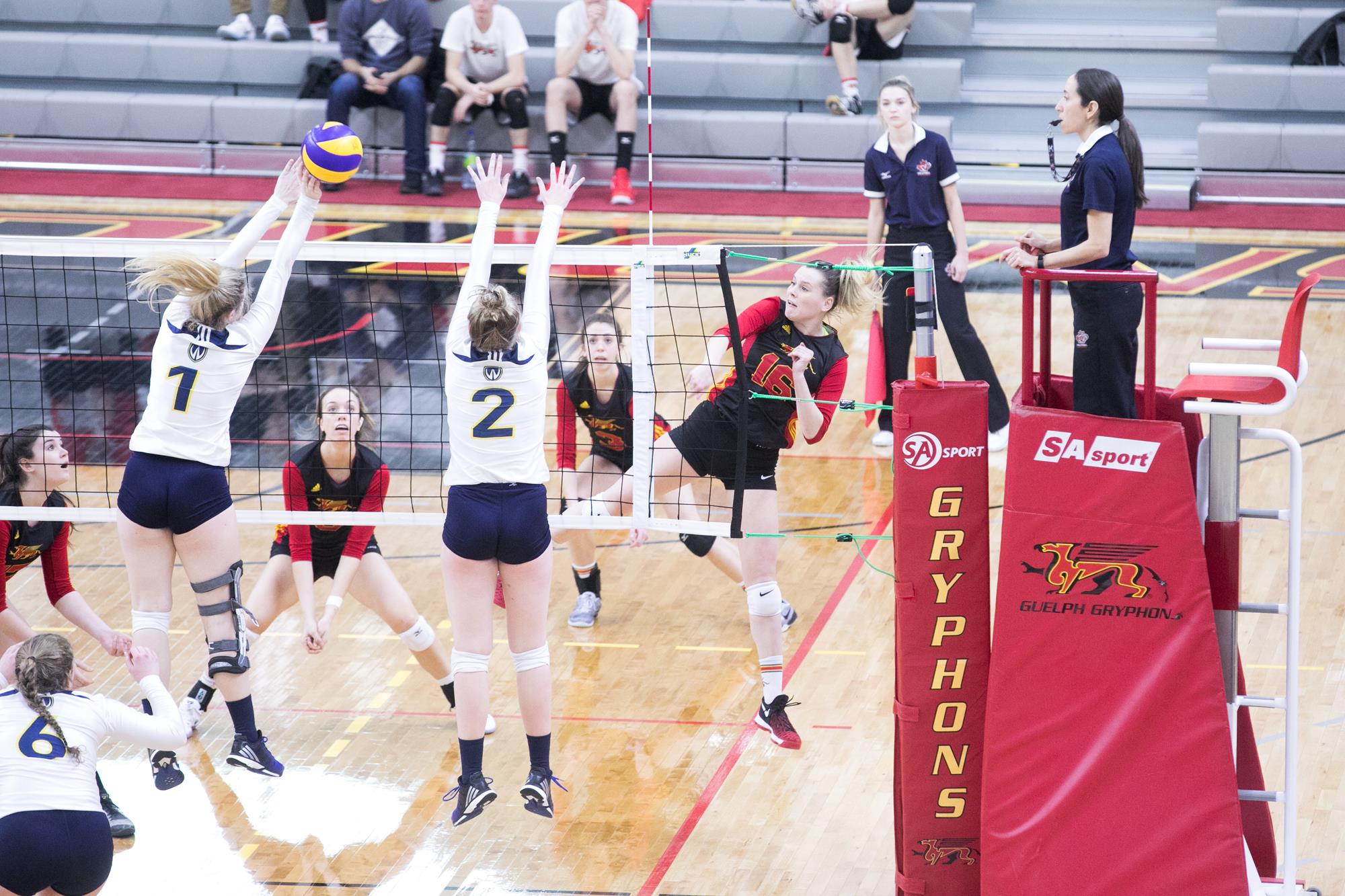 Victoria Golebiowski 201617 Volleyball Women University of