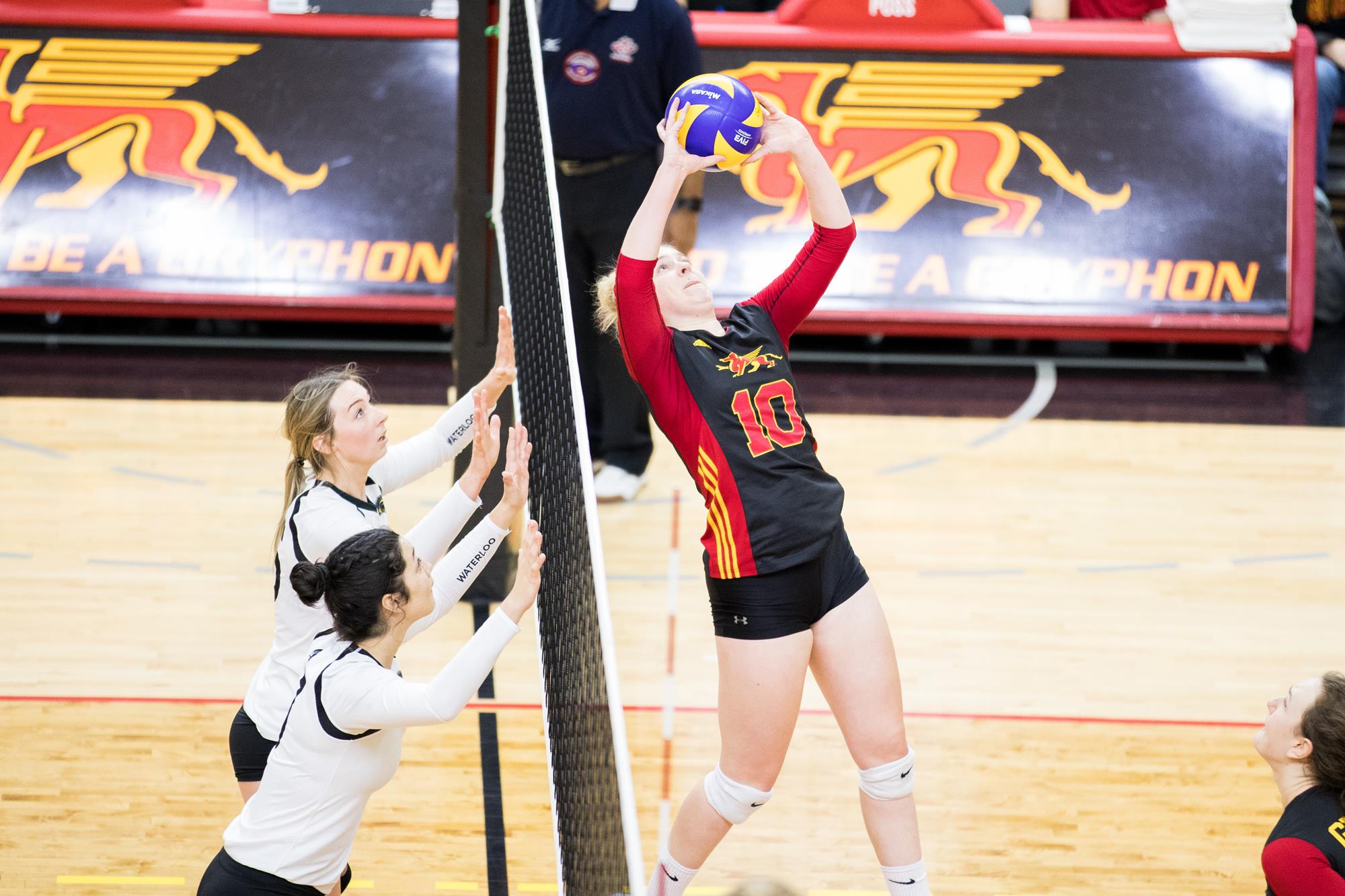 Alex Curran 201819 Volleyball Women University of Guelph Athletics