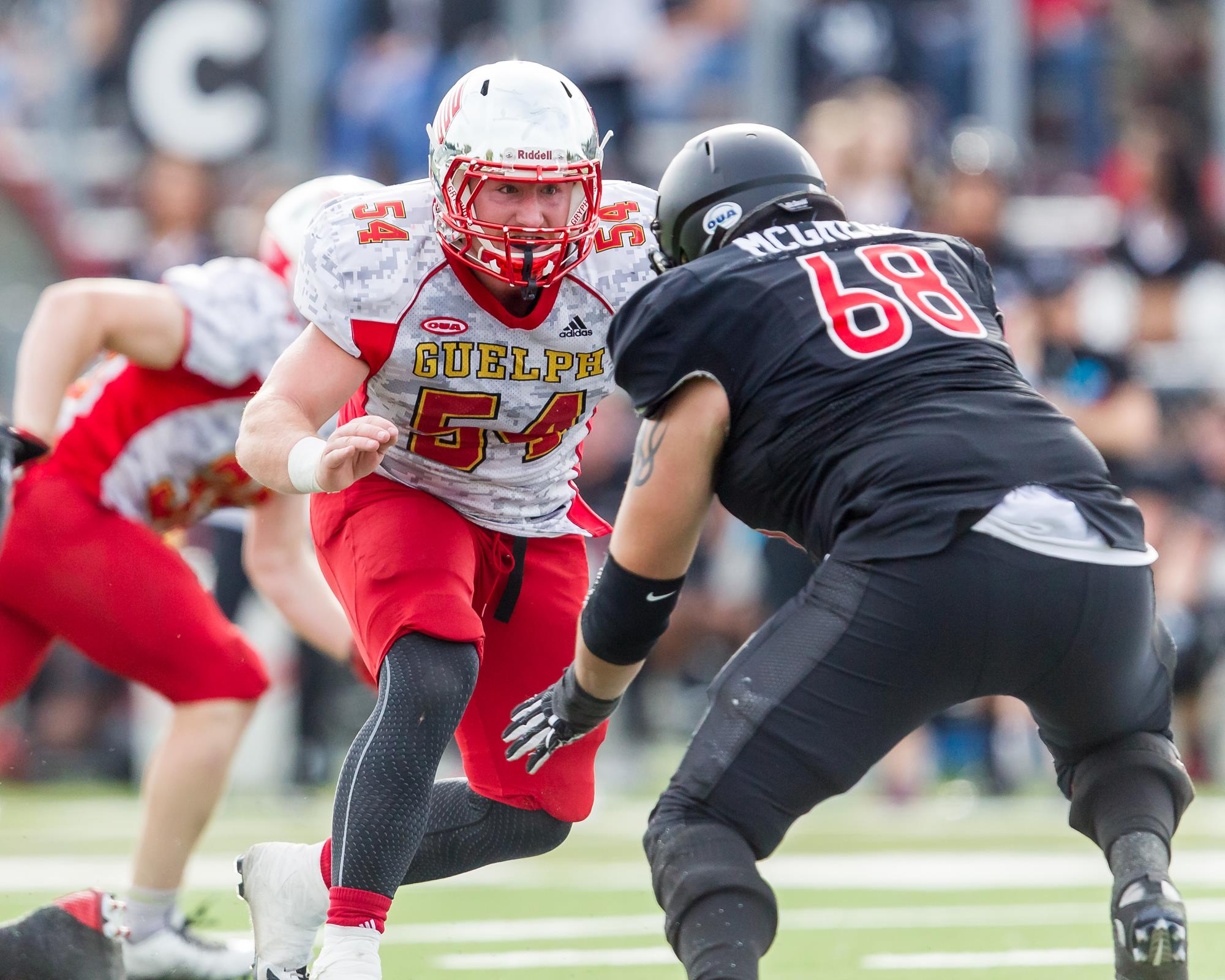 Job Reinhart 201920 Football University of Guelph Athletics