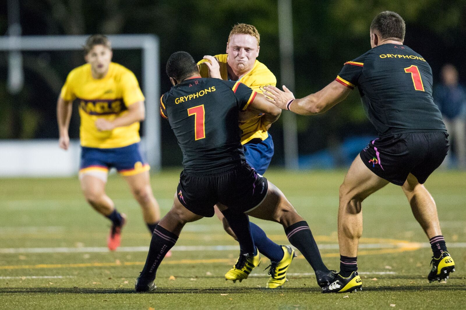 Marcello Wainwright 201819 Rugby Men University of Guelph