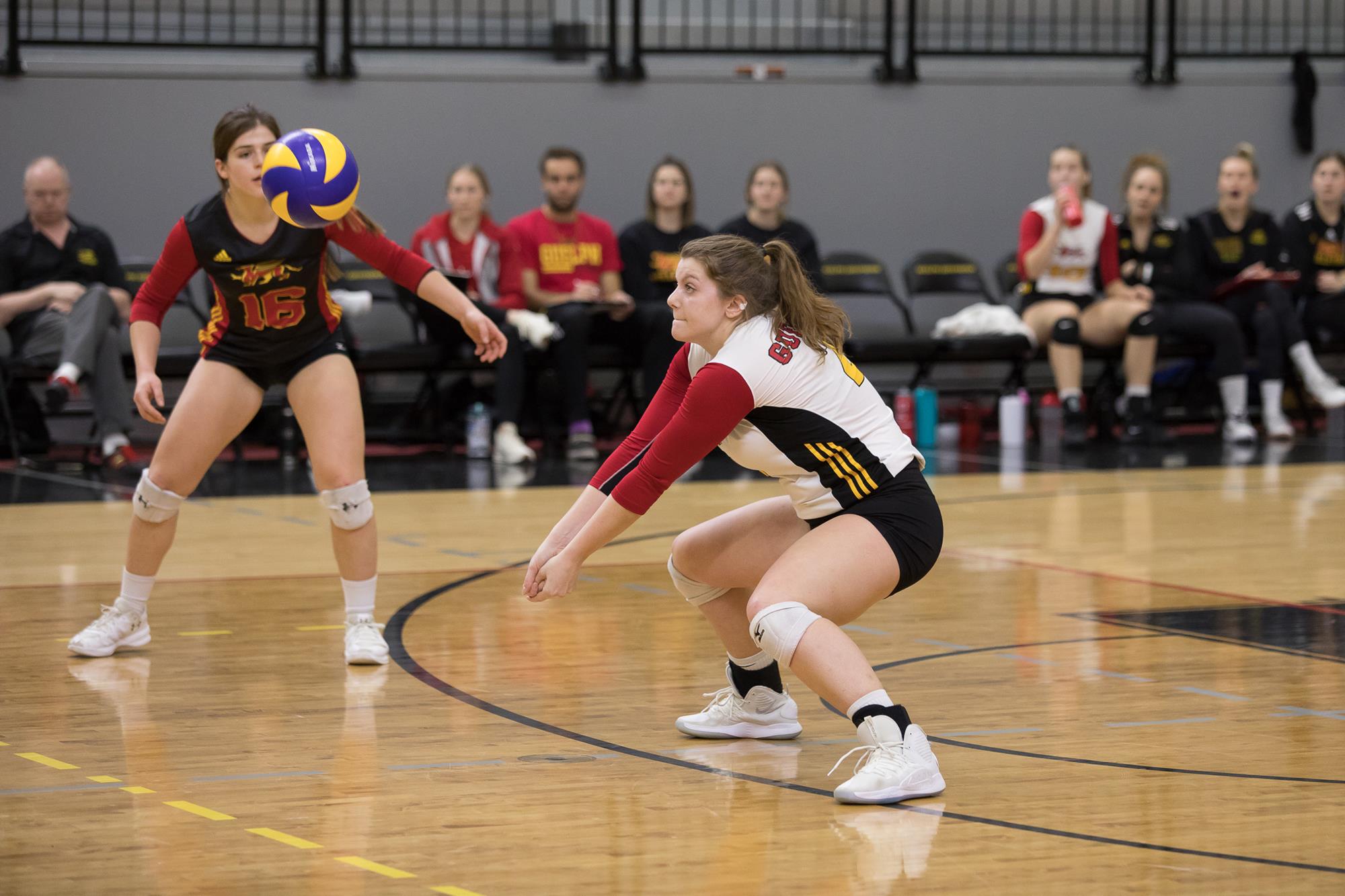 Jade Ziebarth 201920 Volleyball Women University of Guelph