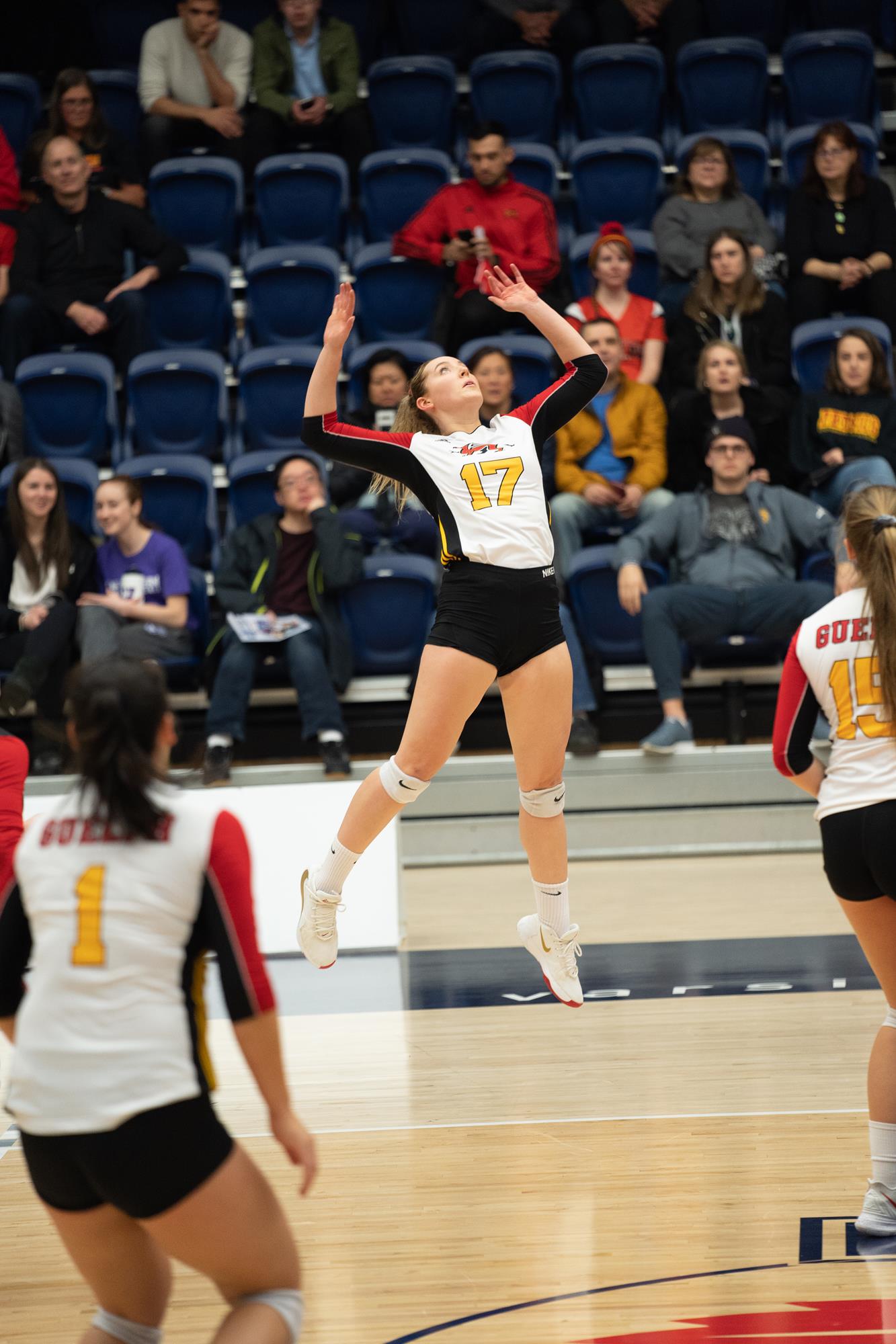 Ally Proulx 202021 Volleyball Women University of Guelph Athletics