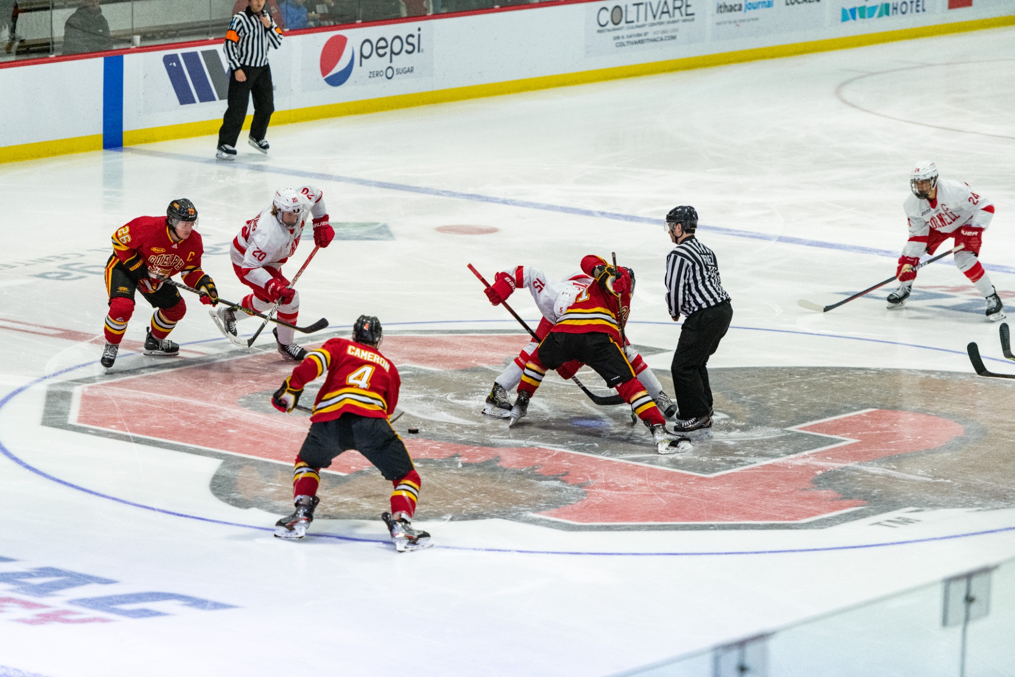 MHKY RECAP Gryphons Fall to Cornell in First Game of NCAA Road Trip