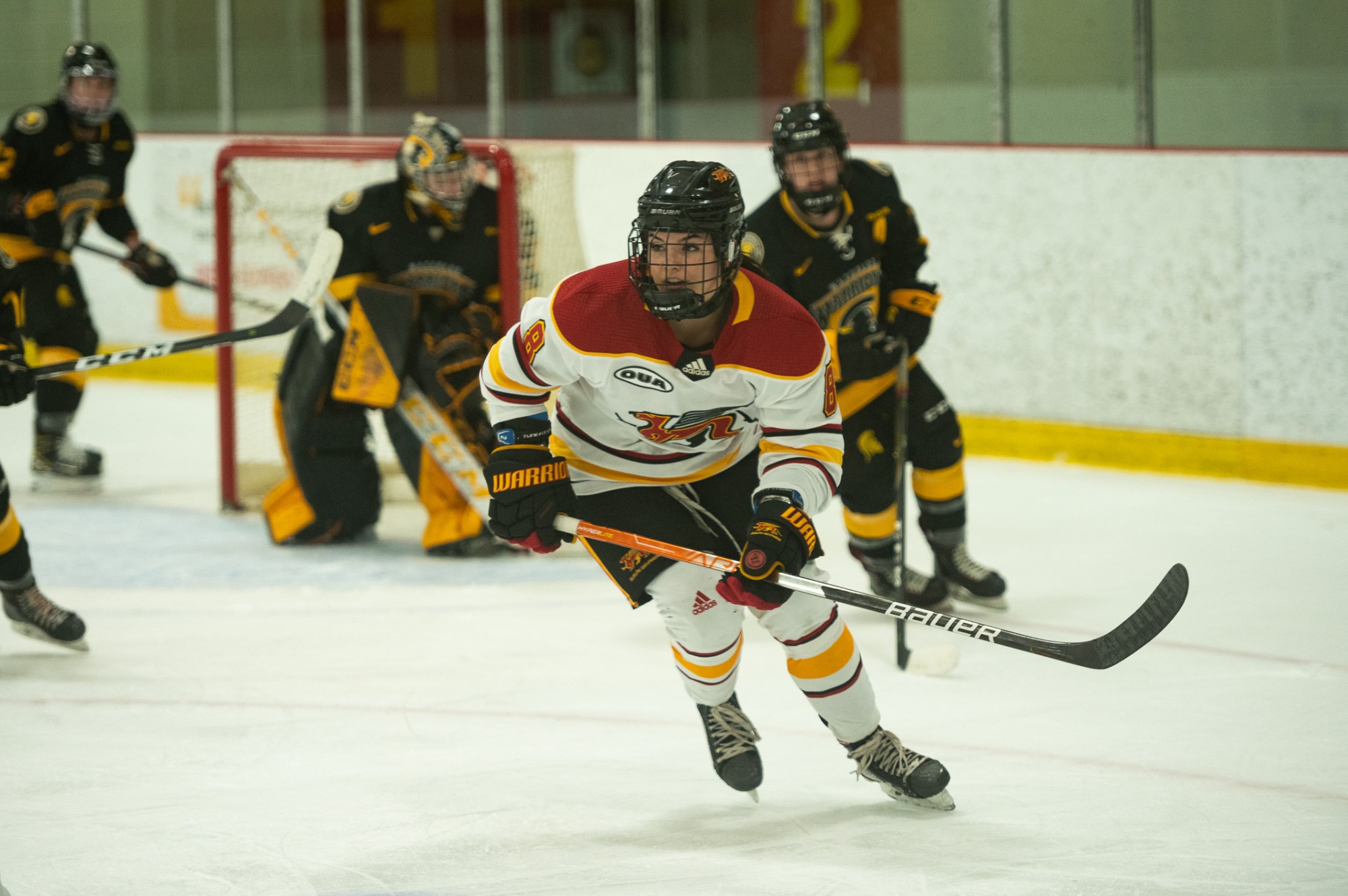Abby Davies 202223 Hockey Women University of Guelph Athletics