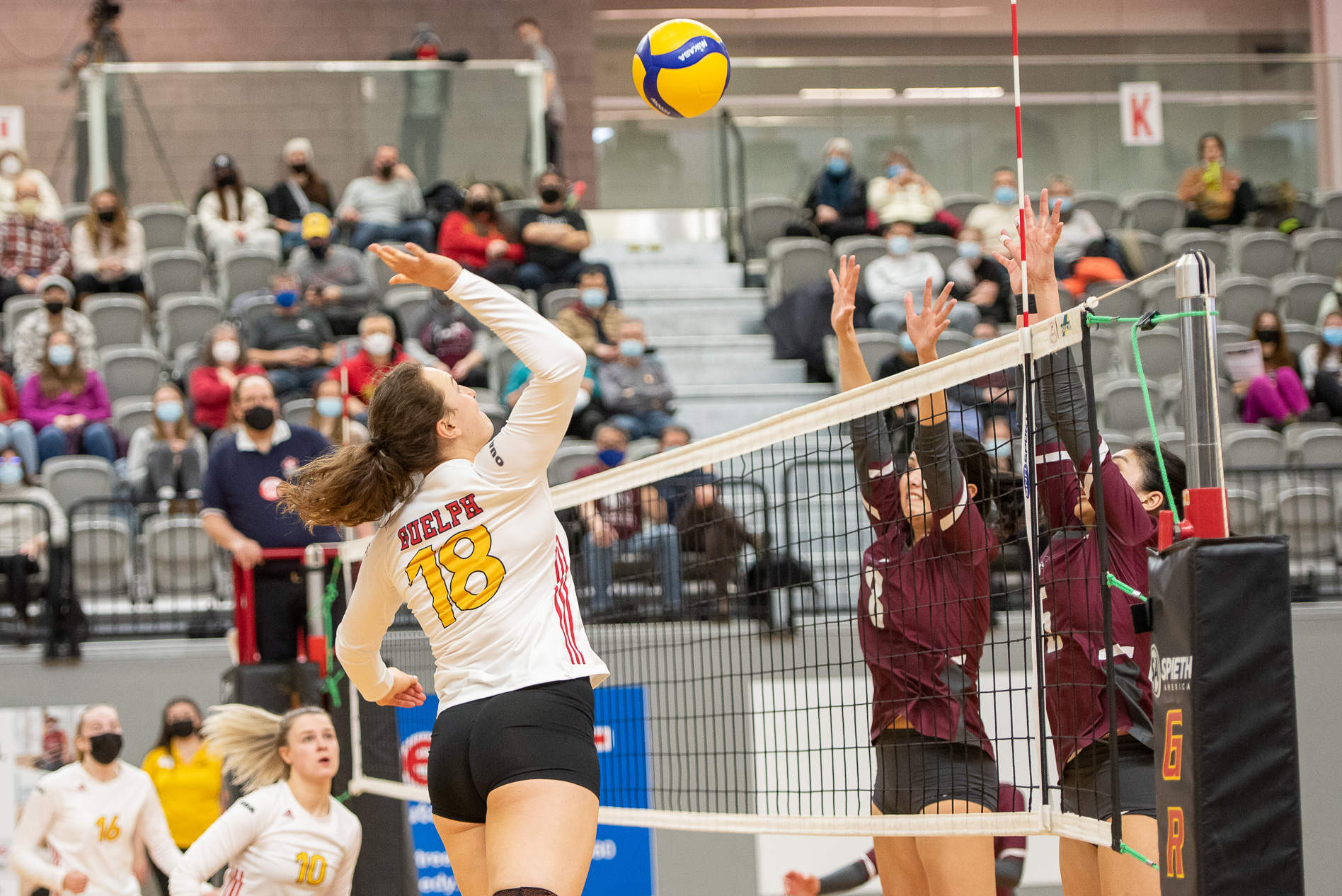 Lisa Wedel 202122 Volleyball Women University of Guelph Athletics