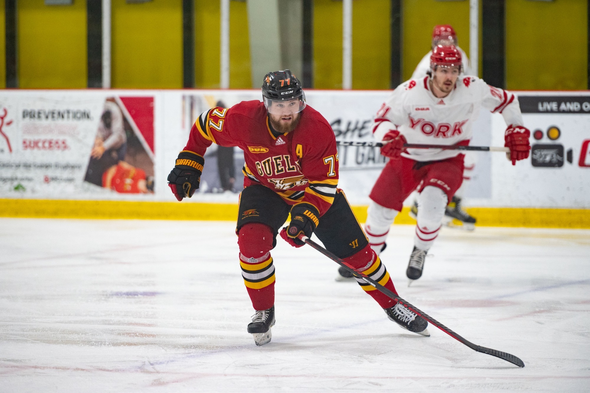 Zachary Poirier 202223 Hockey Men University of Guelph Athletics