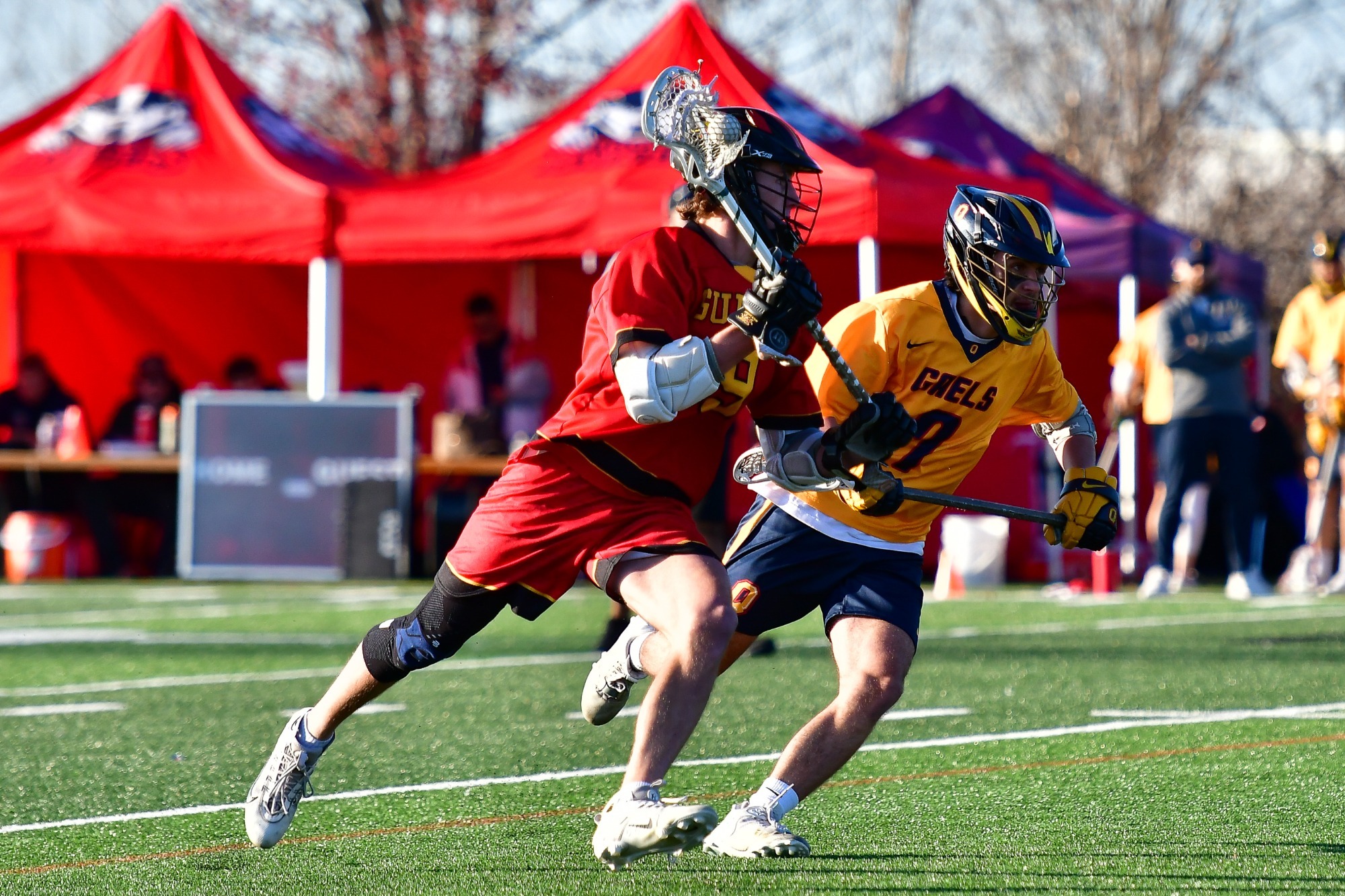 men's lax vs Queen's