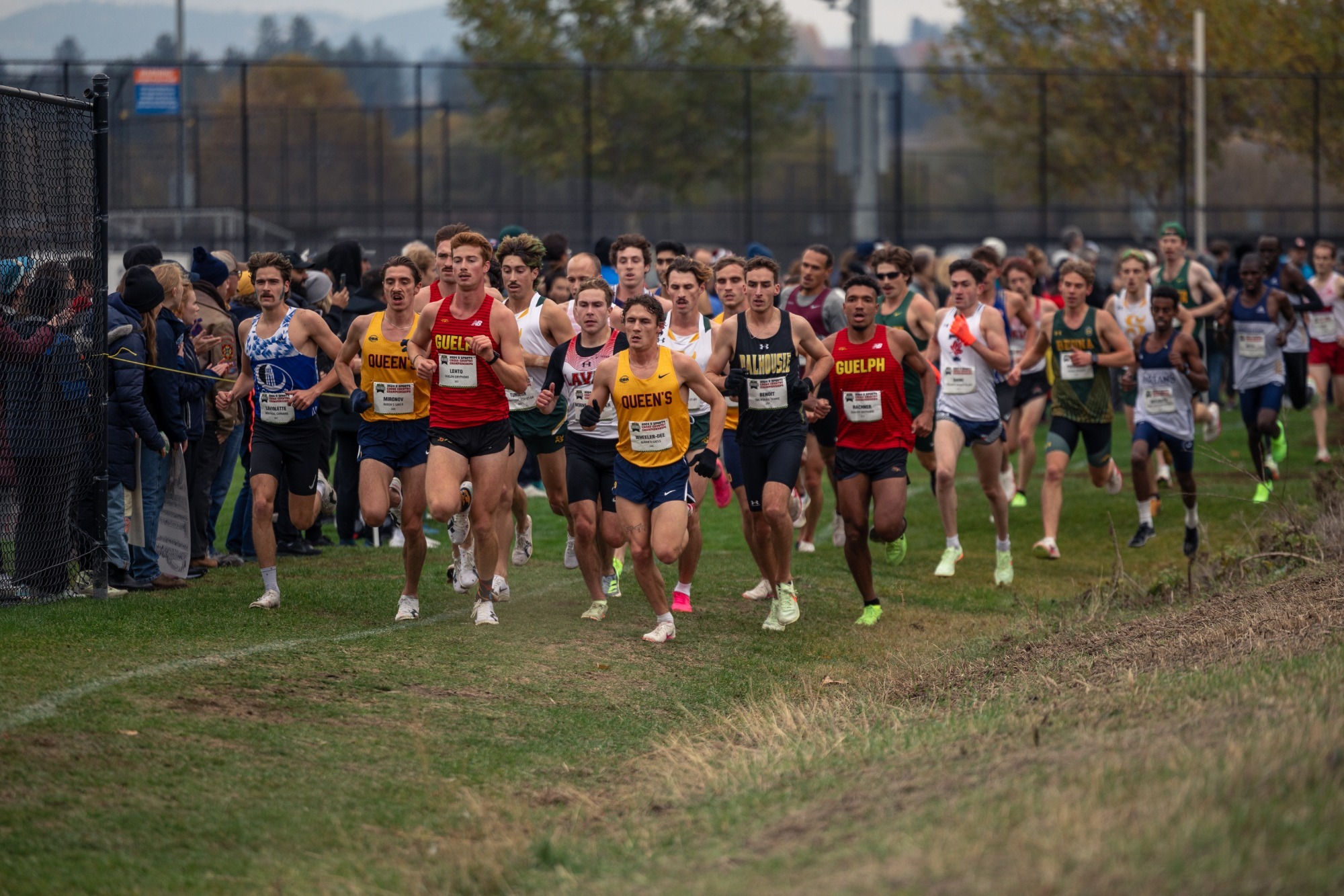 Gryphons Cross Country: Gryphon Men Claim Bronze; Women Finish 12th at ...