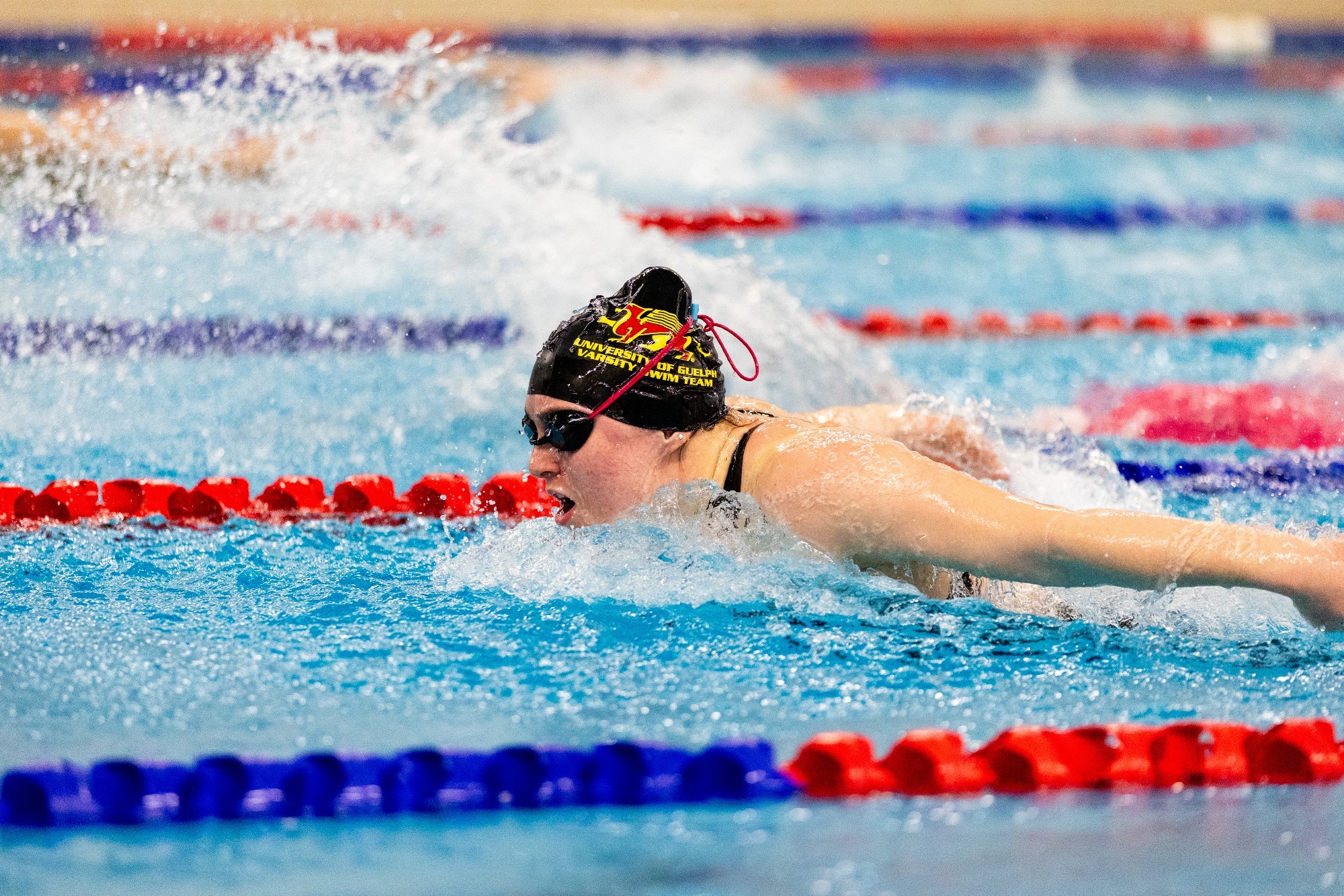Gryphon Swimmer @ 2024 OUA Championships