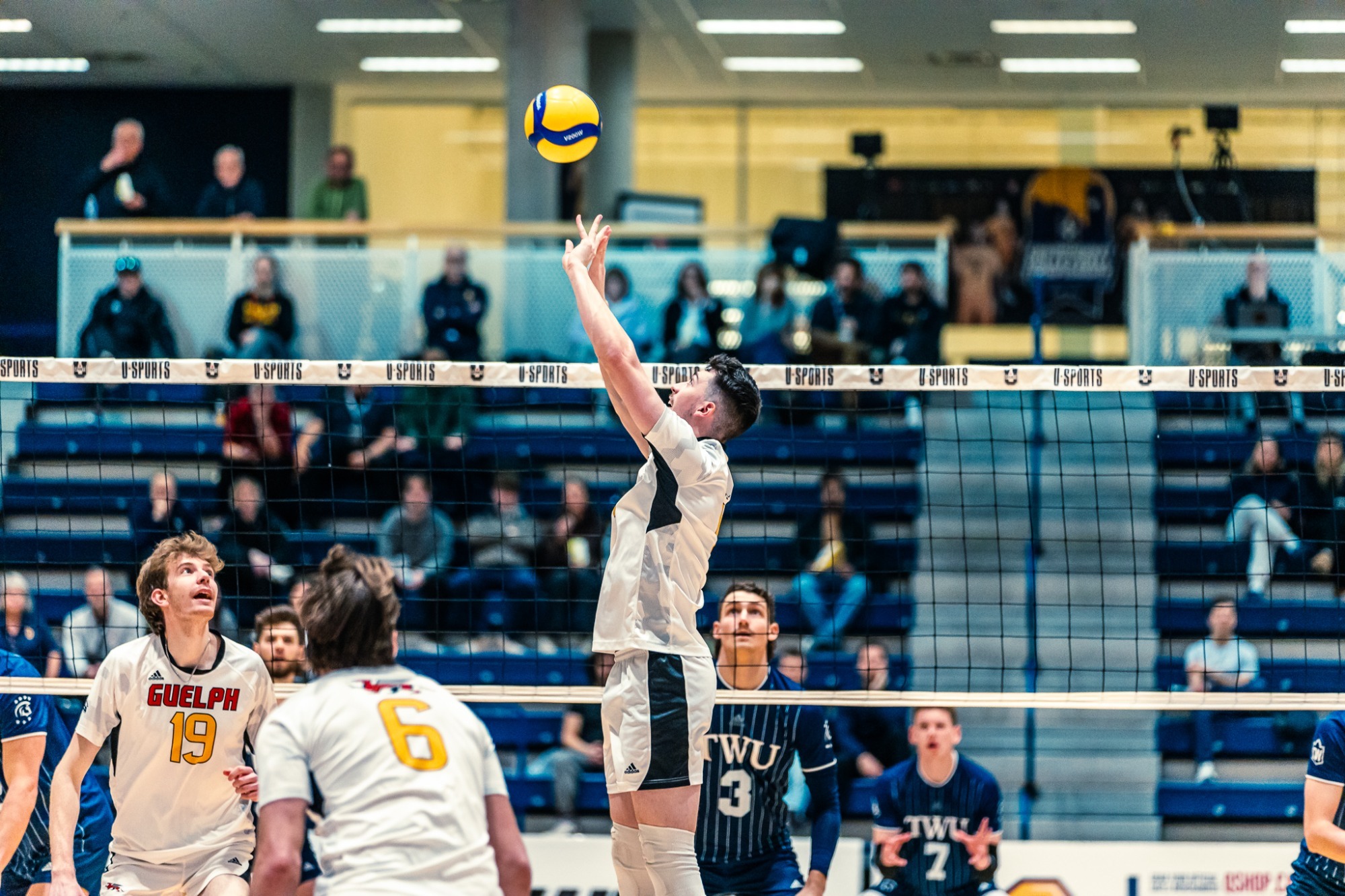 MVB RECAP Gryphons Fall to Defending National Champions, Trinity
