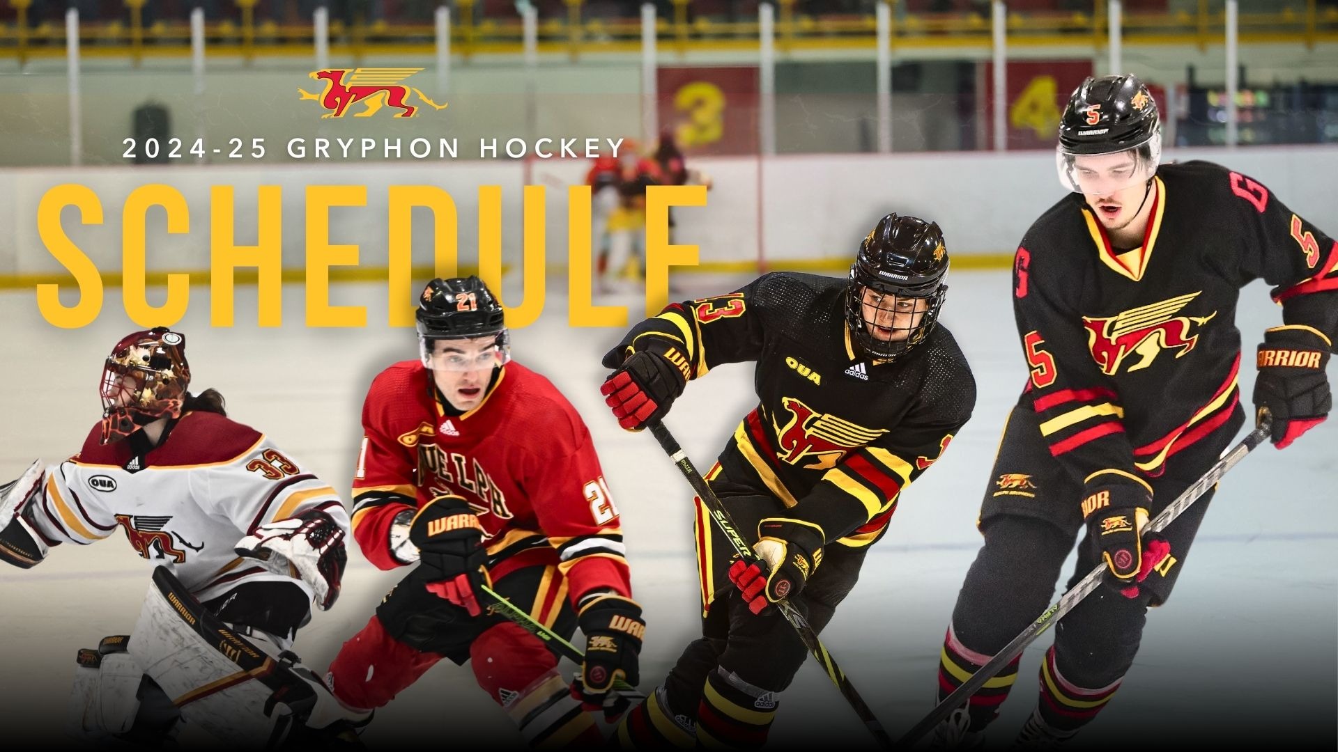 202425 Gryphons Men’s & Women’s Volleyball Schedule Announced