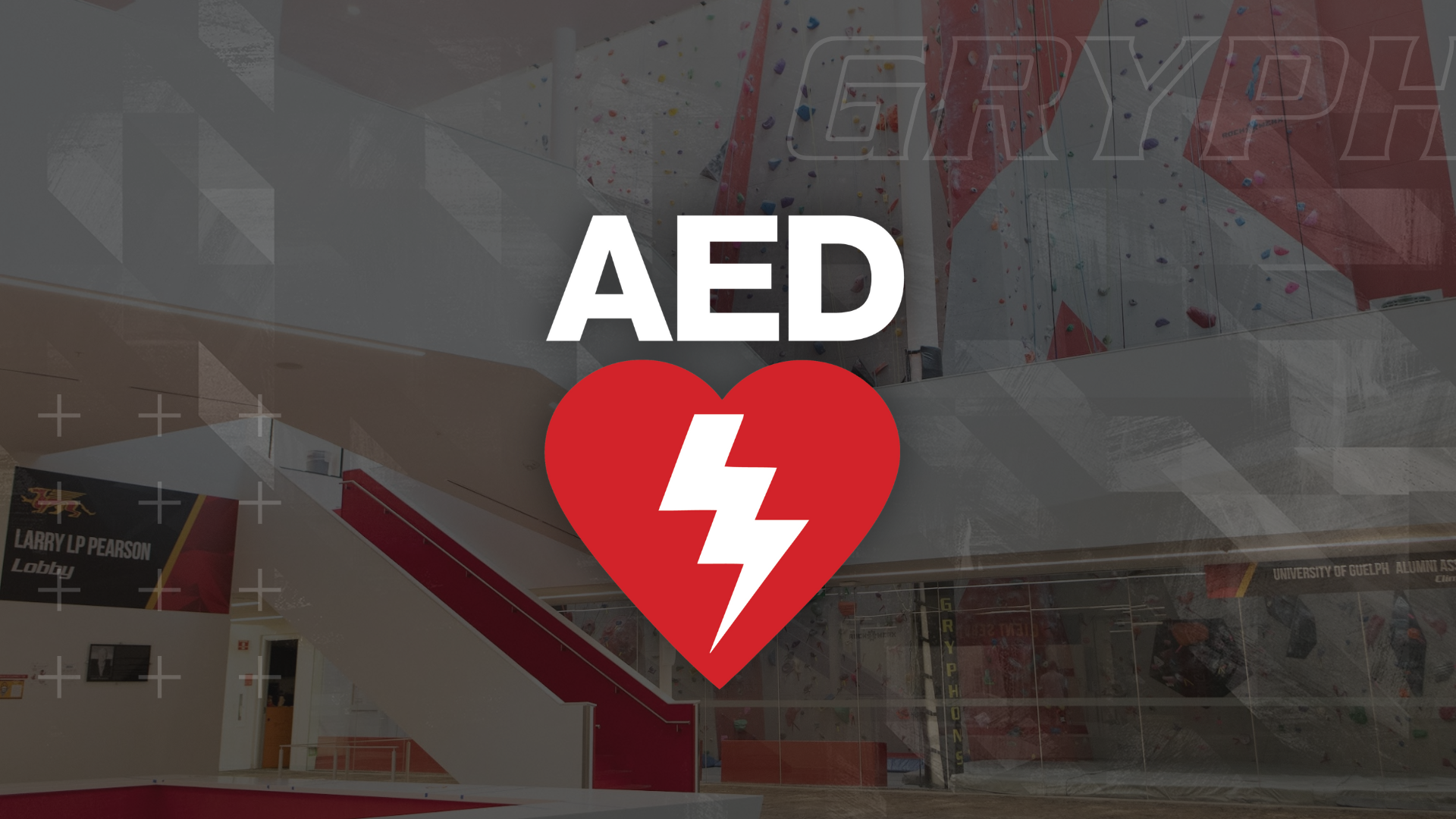 AED logo 