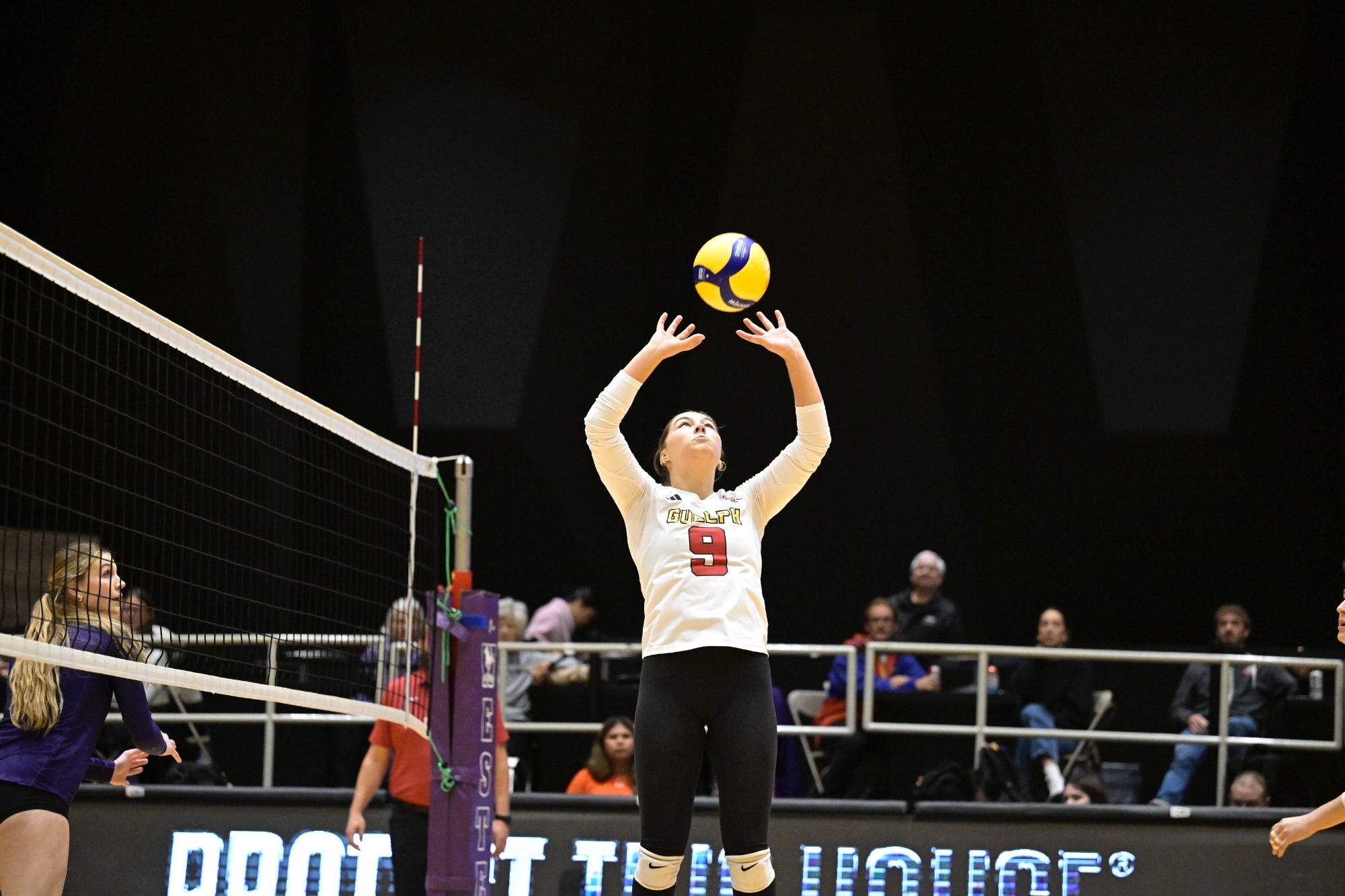 Sophie Sommerfeldt at Western