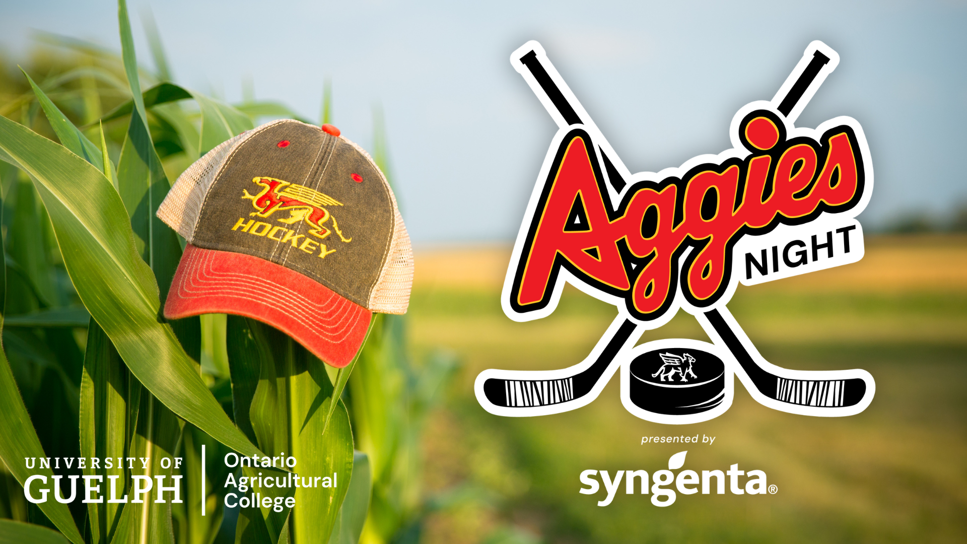 Guelph Gryphons hockey hat on a corn stalk in a field with the OAC and Aggies Night logos sponsored by Syngenta