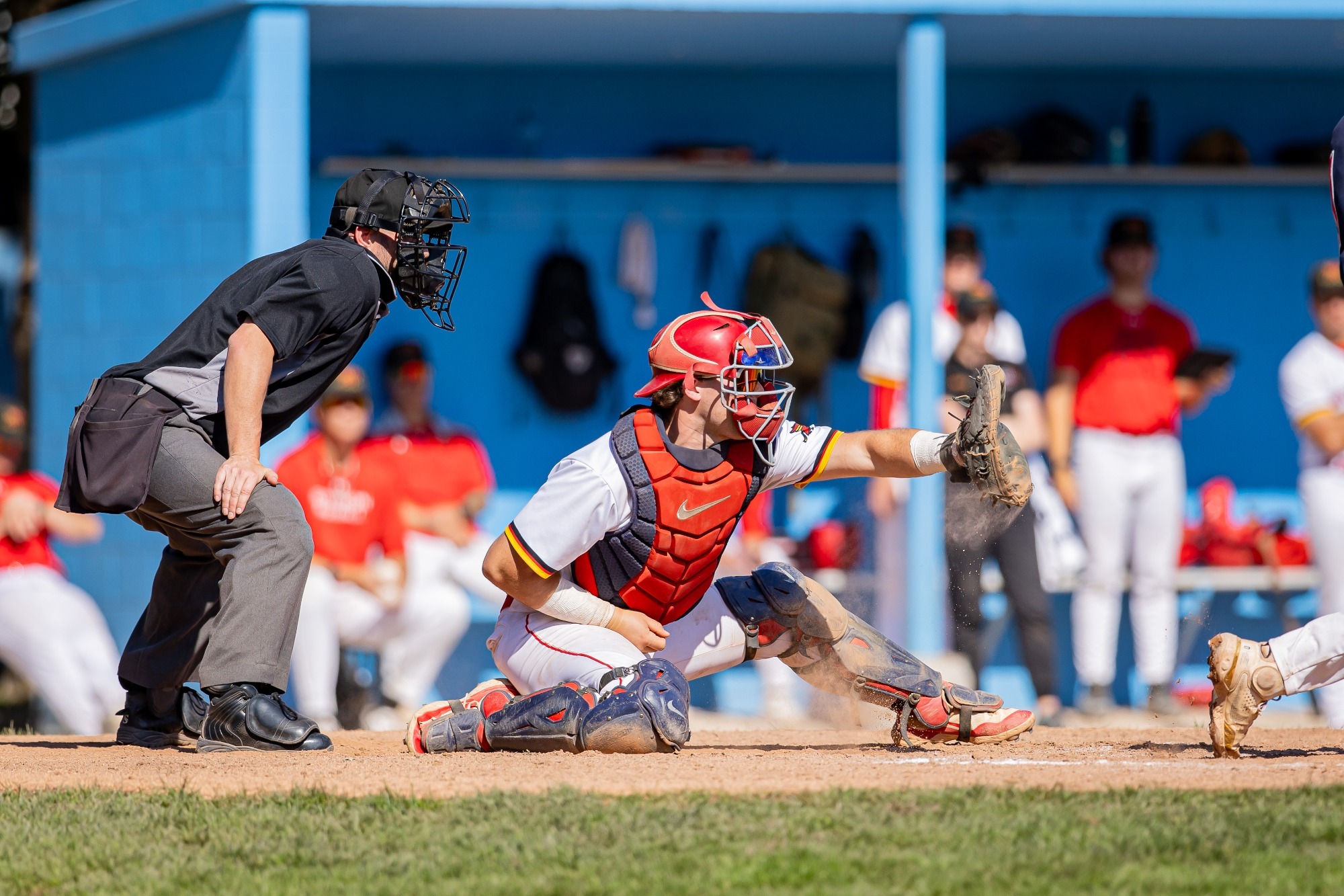 Gryphons baseball - 2025 OUA West Regional Qualifier