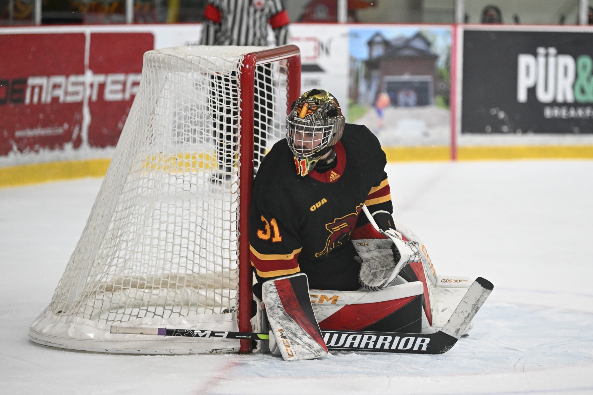 Olivier Ciarlo vs Waterloo