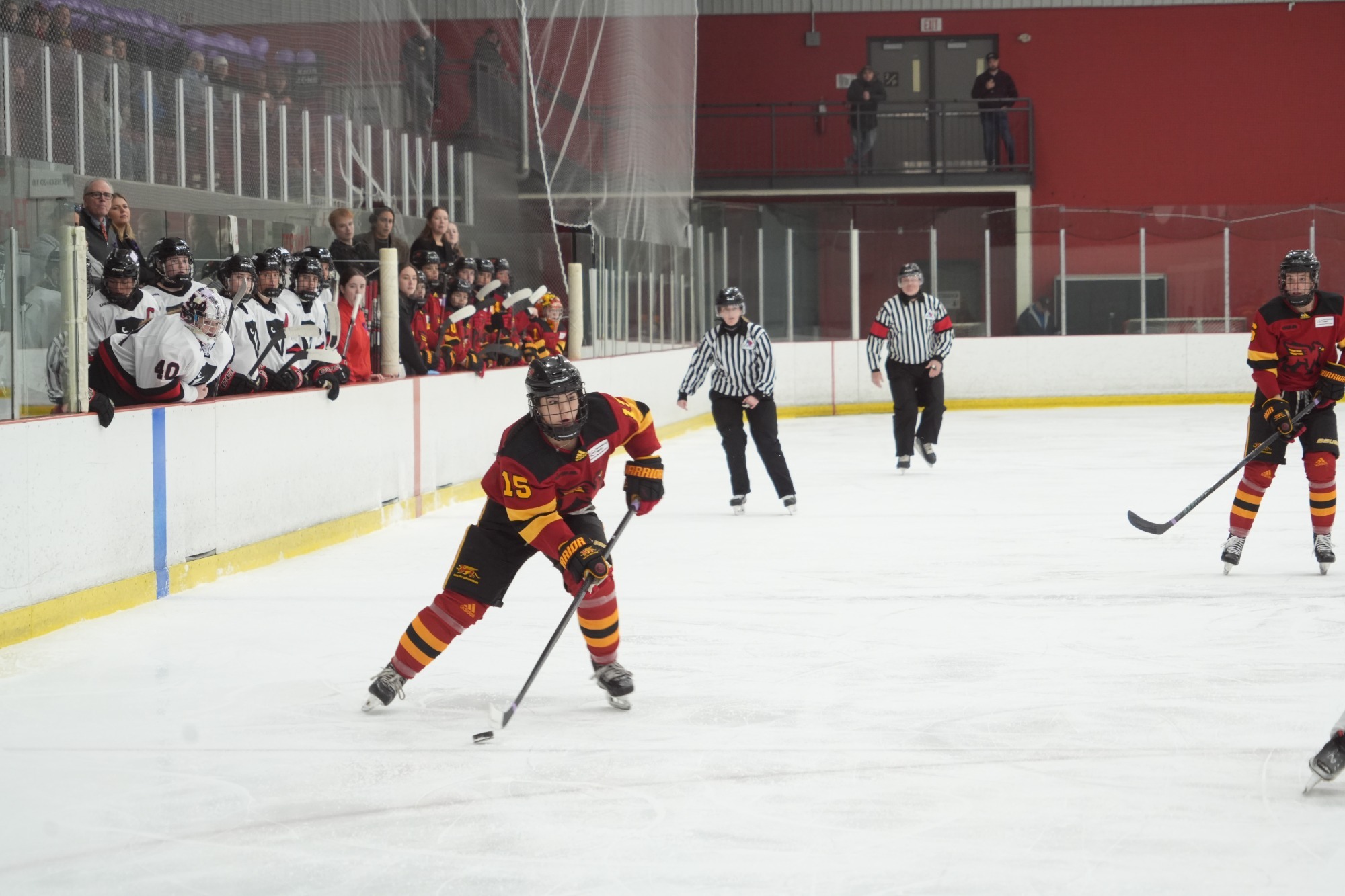 Gryphons women's hockey at Carleton