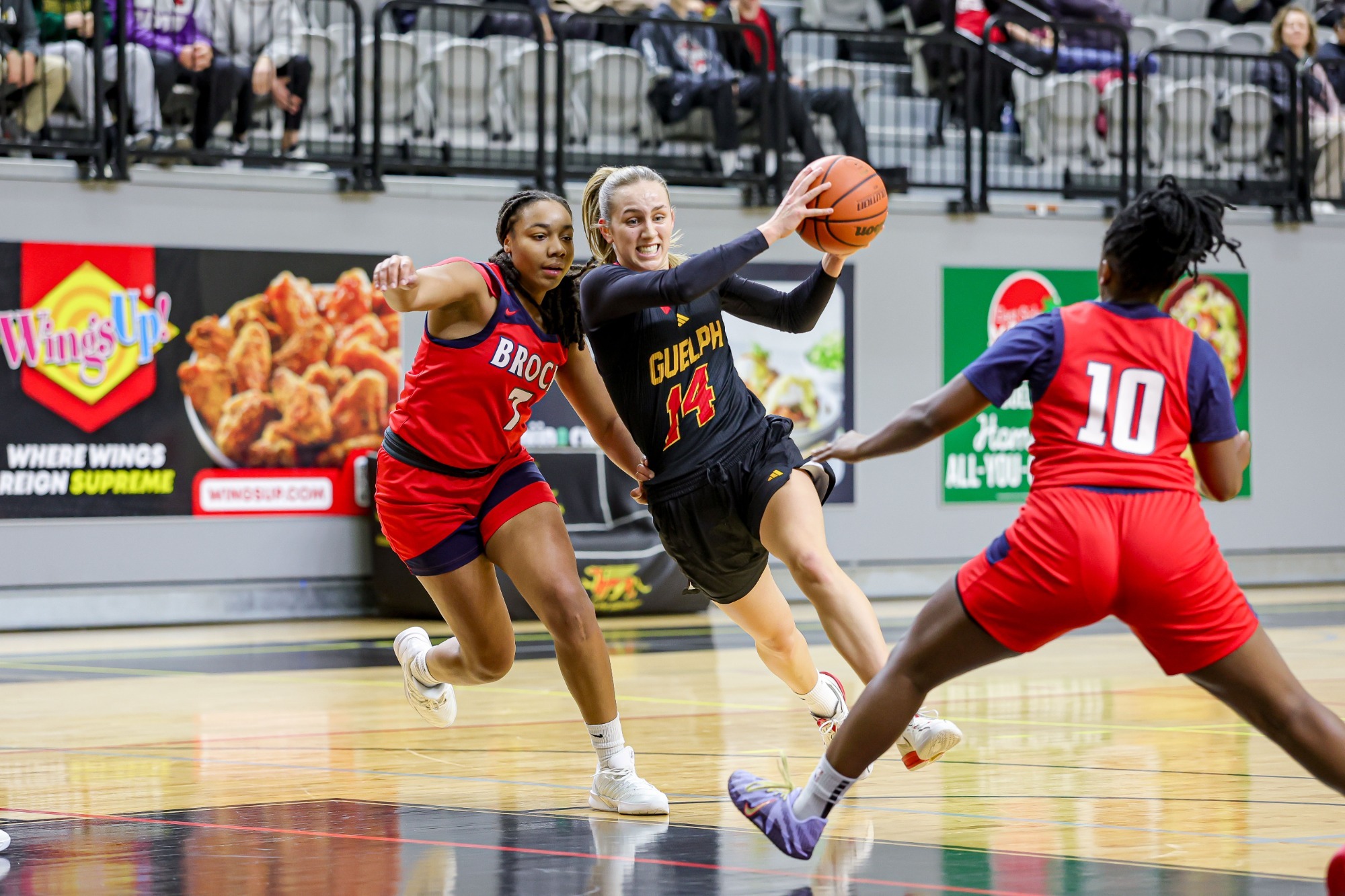 Hannah Bourdon drives vs Brock