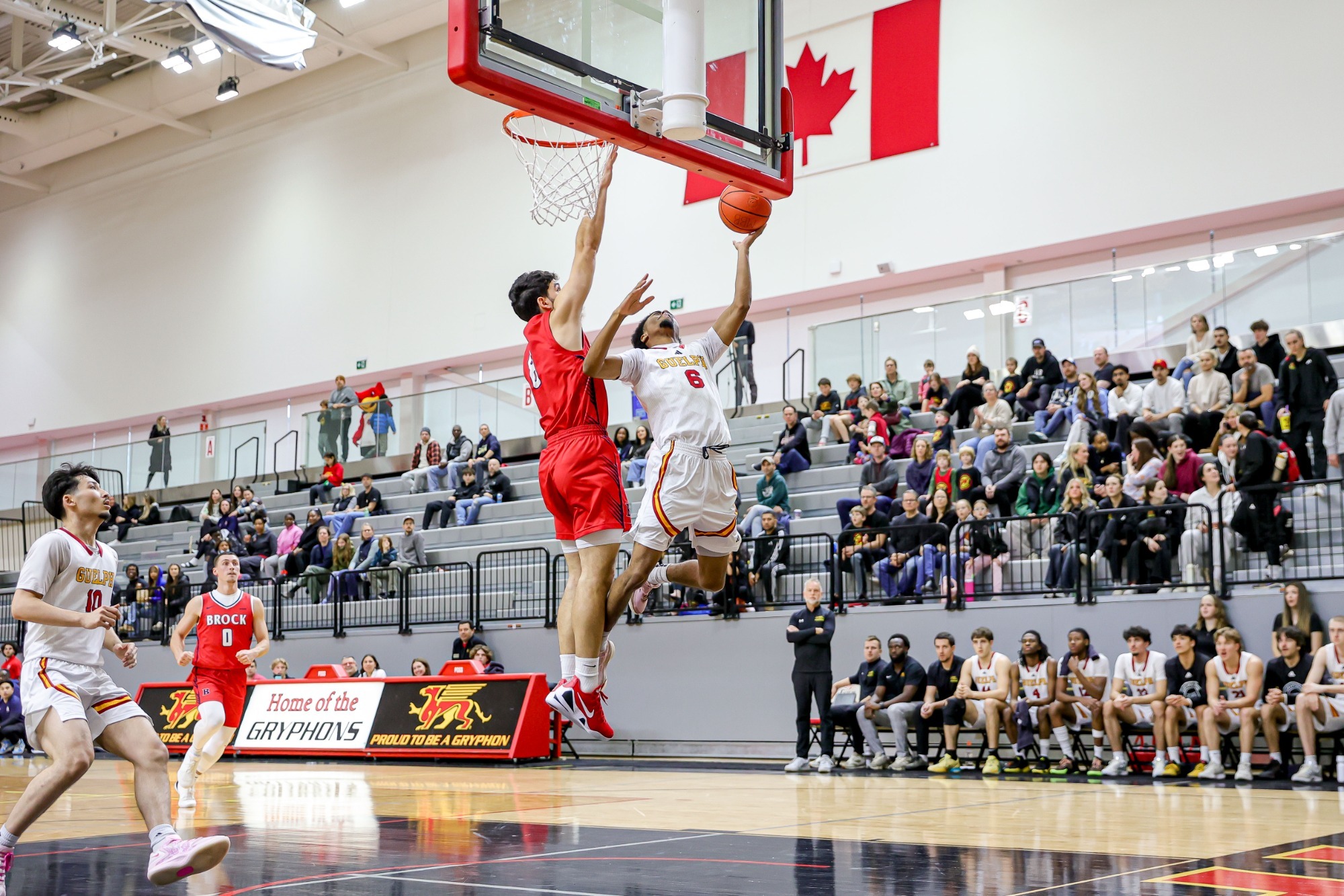 Amare Hamilton lay in vs Brock