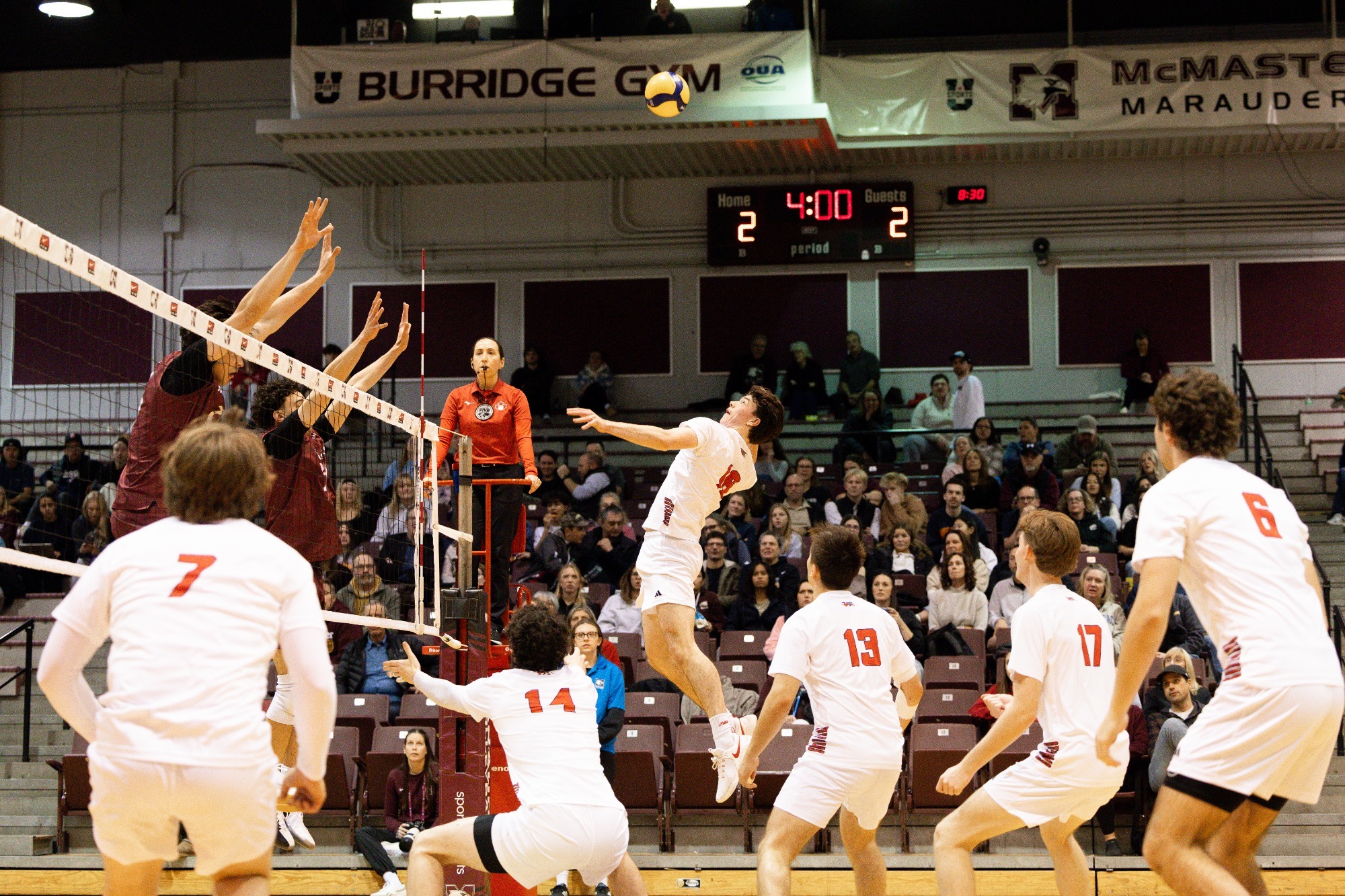 Gryphons at McMaster