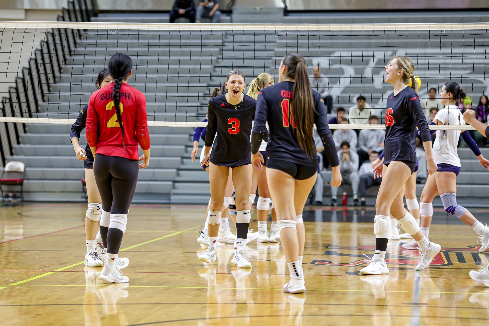 Gryphons women's volleyball celebrate a point vs Windsor