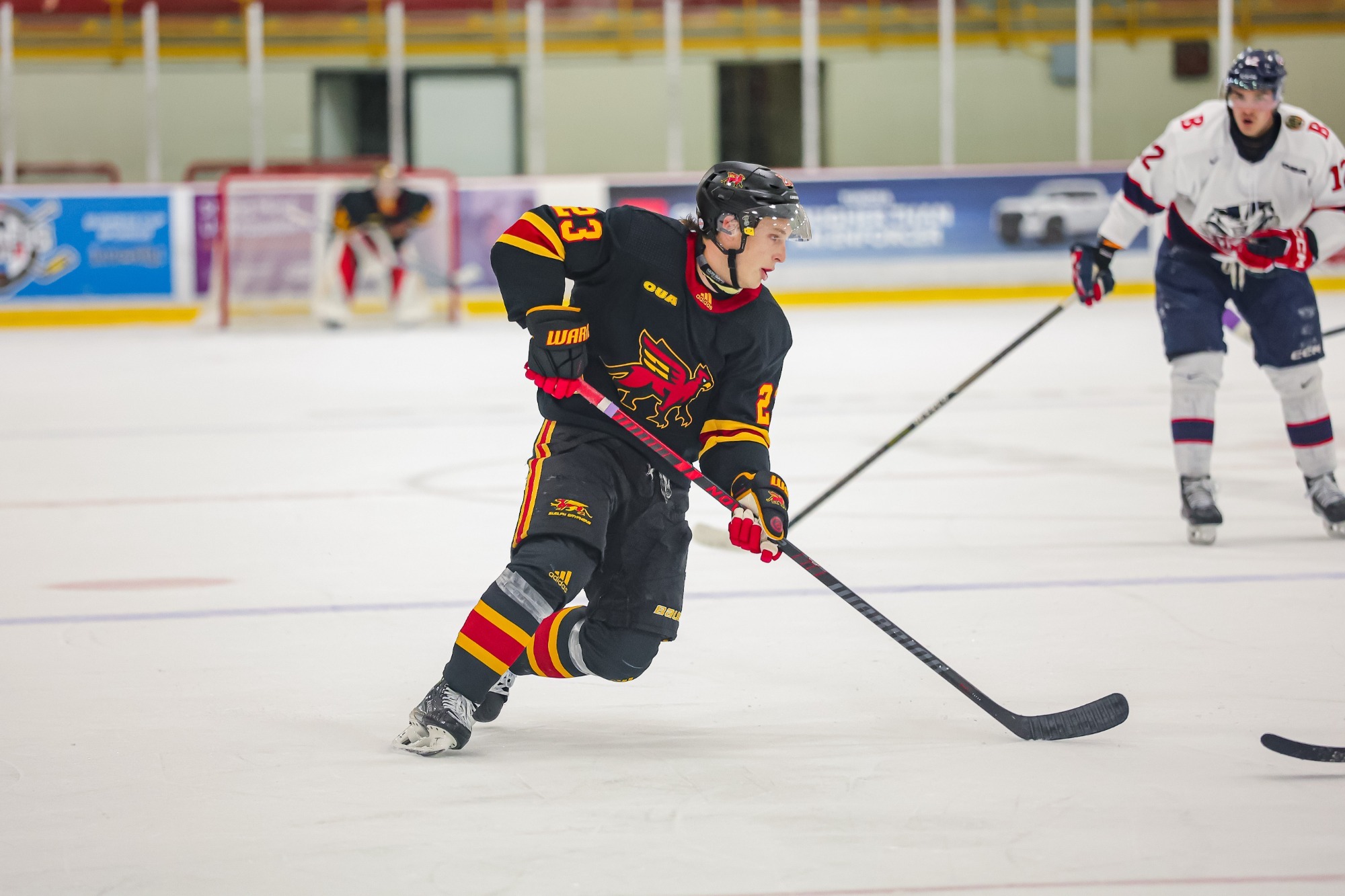 Chase Lammi vs Brock