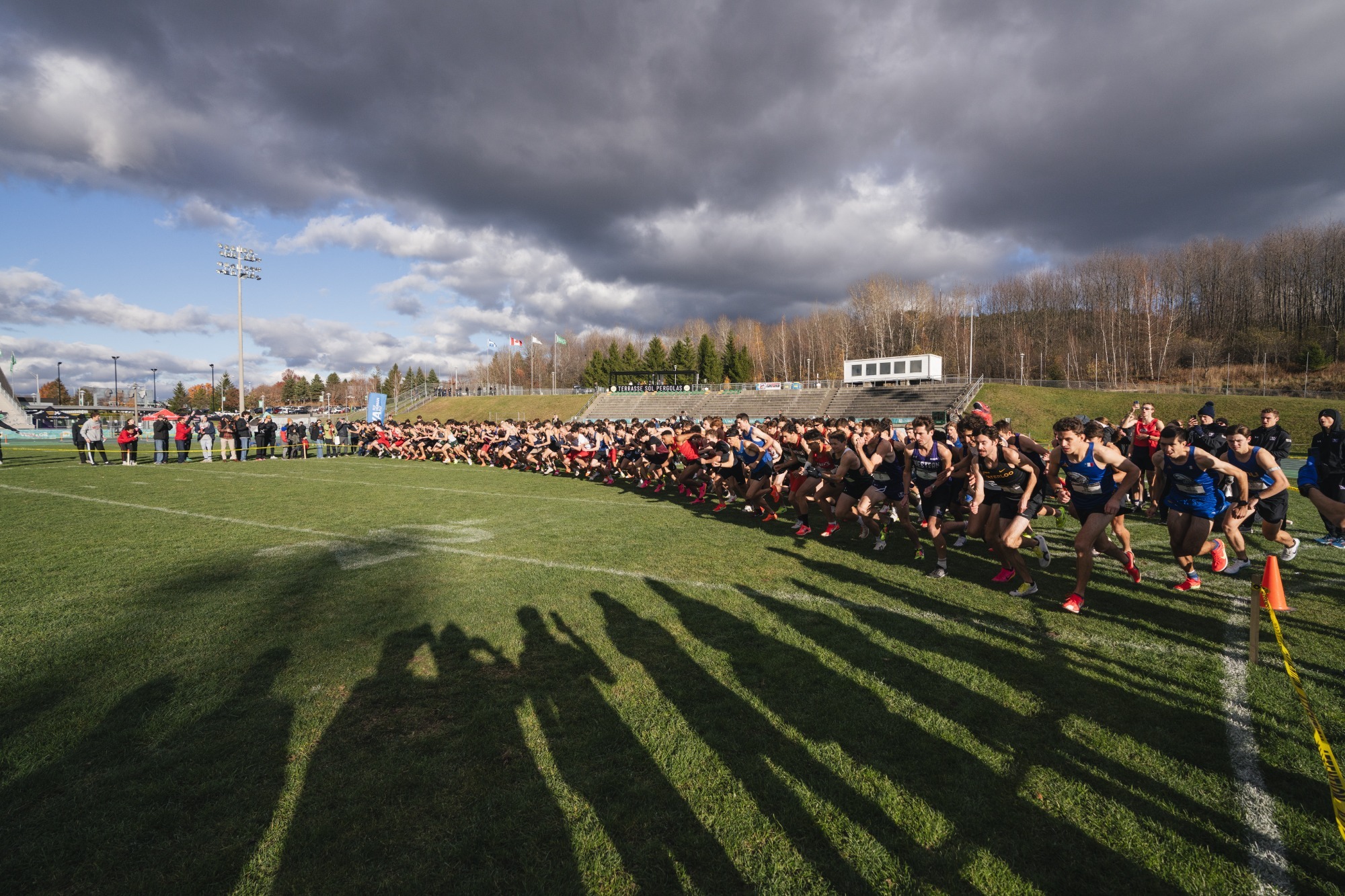starting line - 2025 U SPORTS Cross Country Championships
