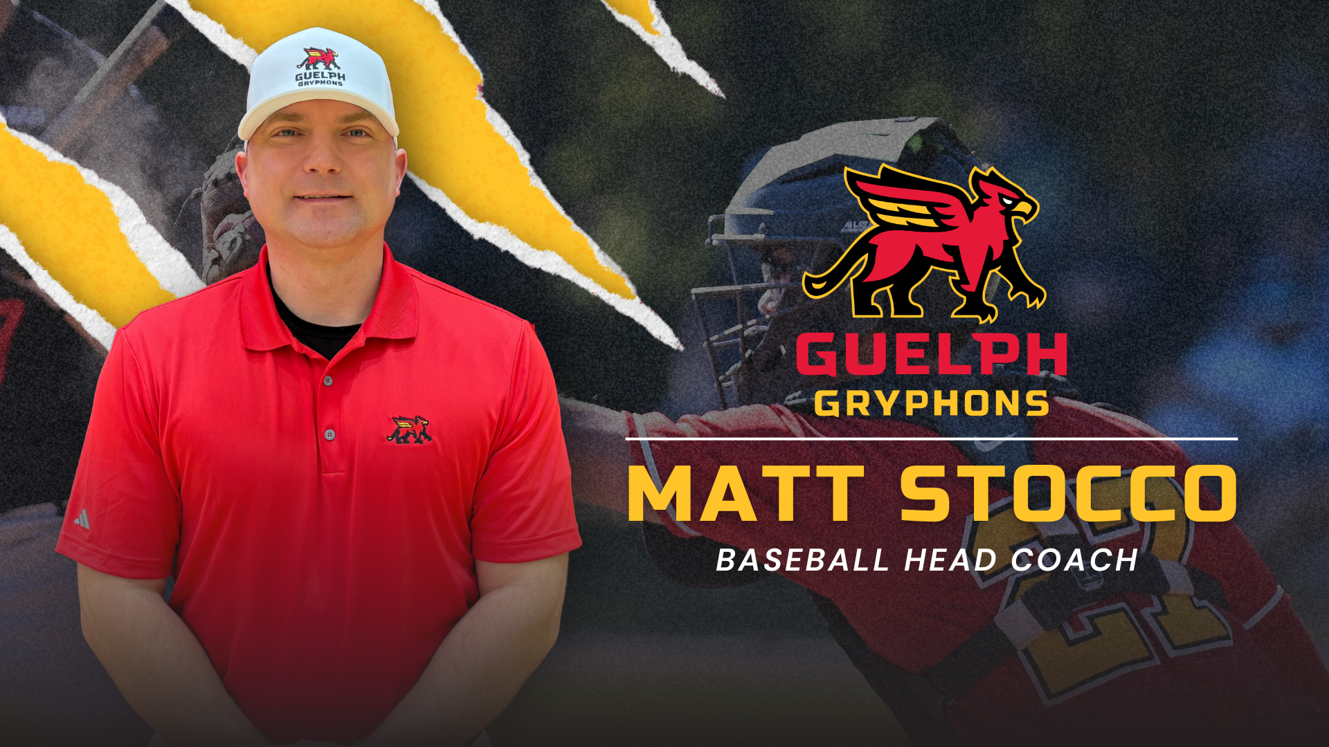 Matt Stocco named head coach of Gryphon baseball program
